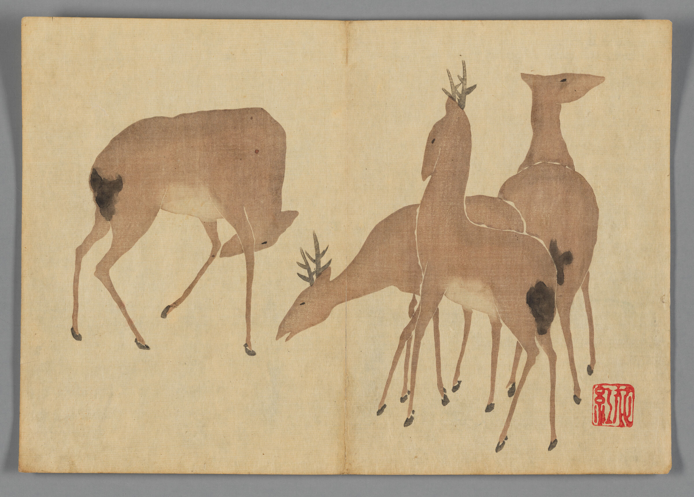 Four Deer, From The Kōrin Gafu (Kōrin Picture Album)