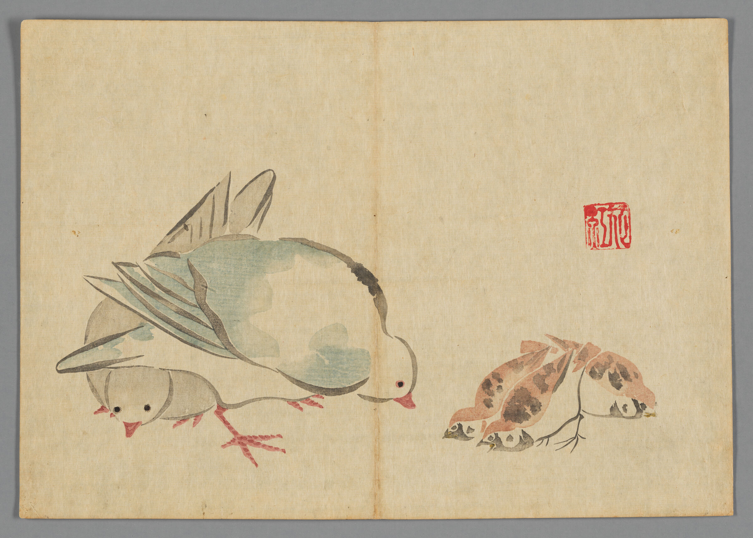 Doves And Sparrows, From The Kōrin Gafu (Kōrin Picture Album)