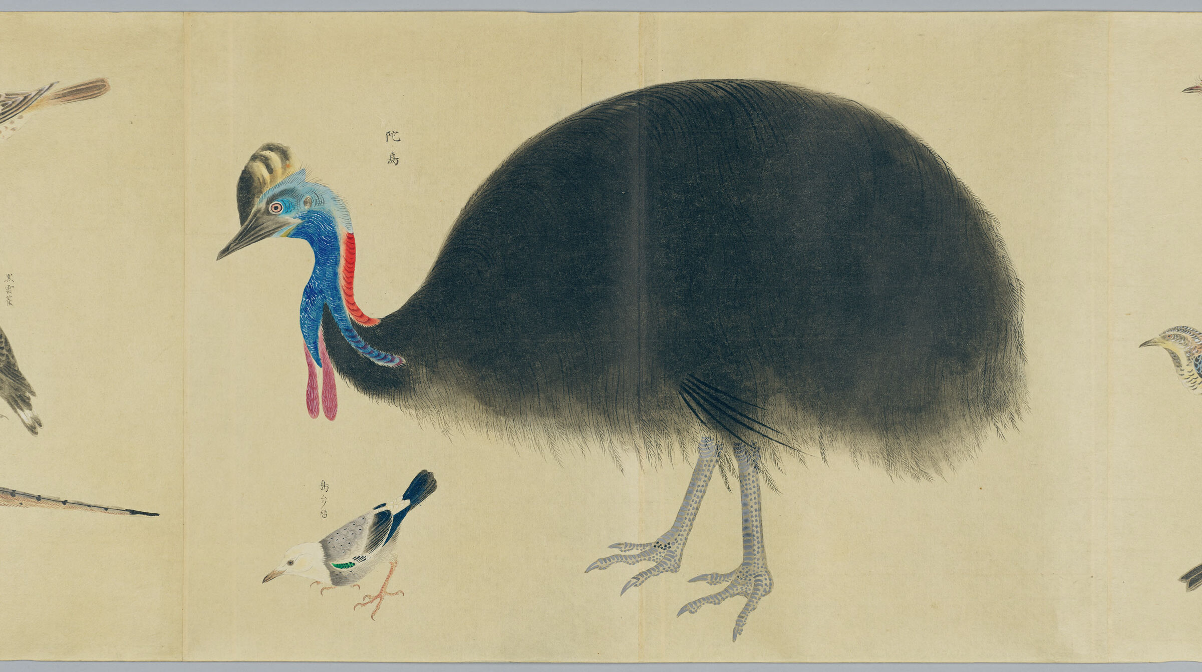 Illustrated Scroll Of Birds (Chōrui Zukan) Vol. 1
