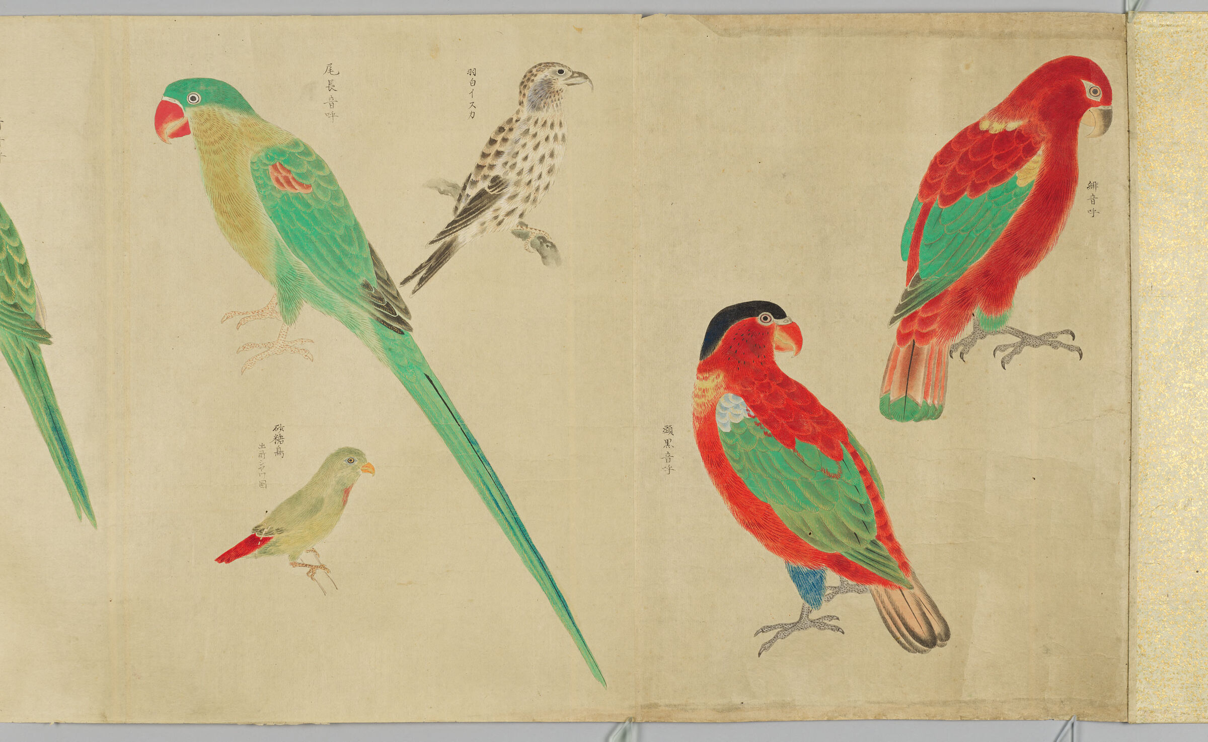 Illustrated Scroll Of Birds (Chōrui Zukan) Vol. 2