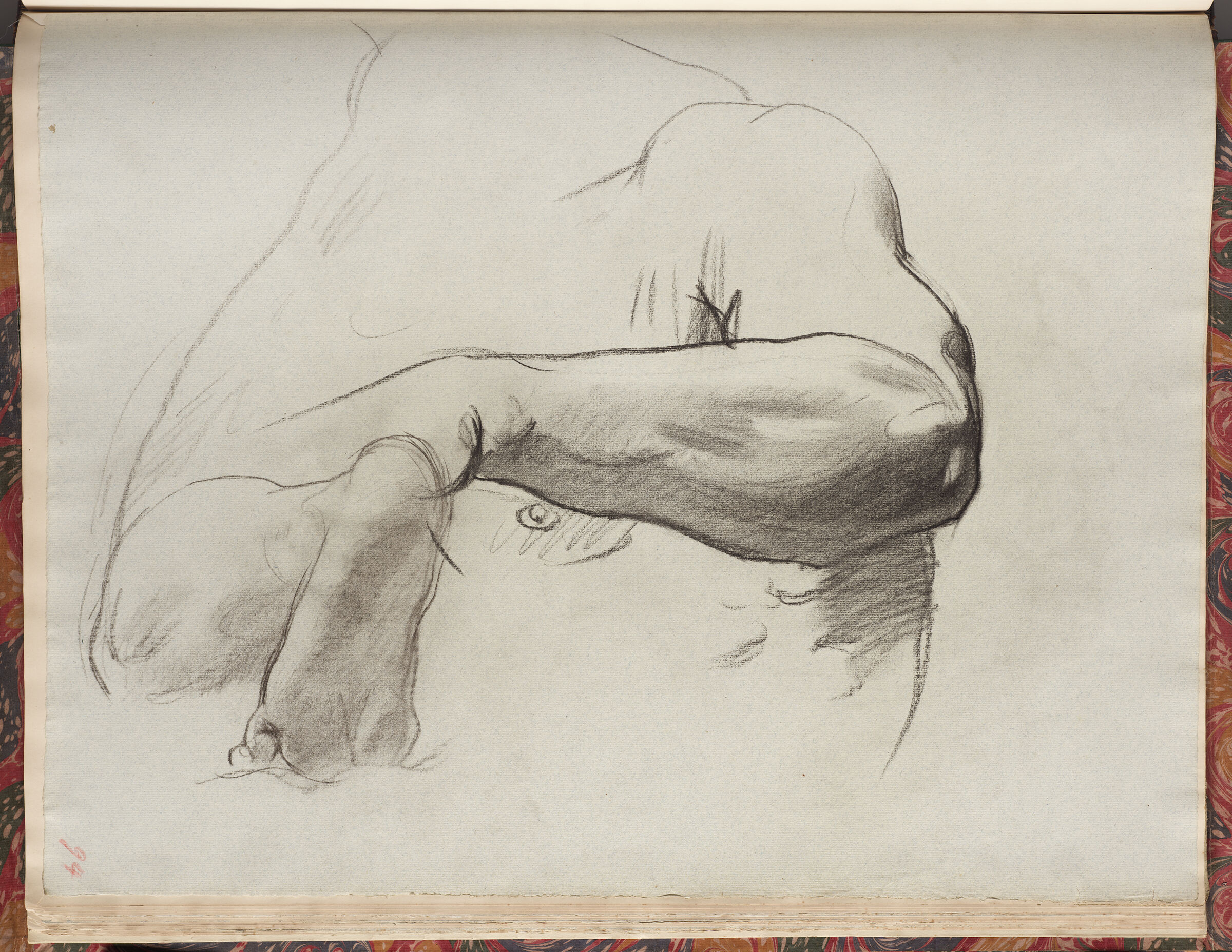 Studies For Foot And Arm Of Angels, 