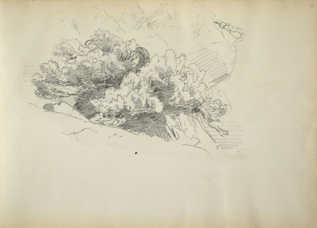 Sketch Of Rocks And Foliage