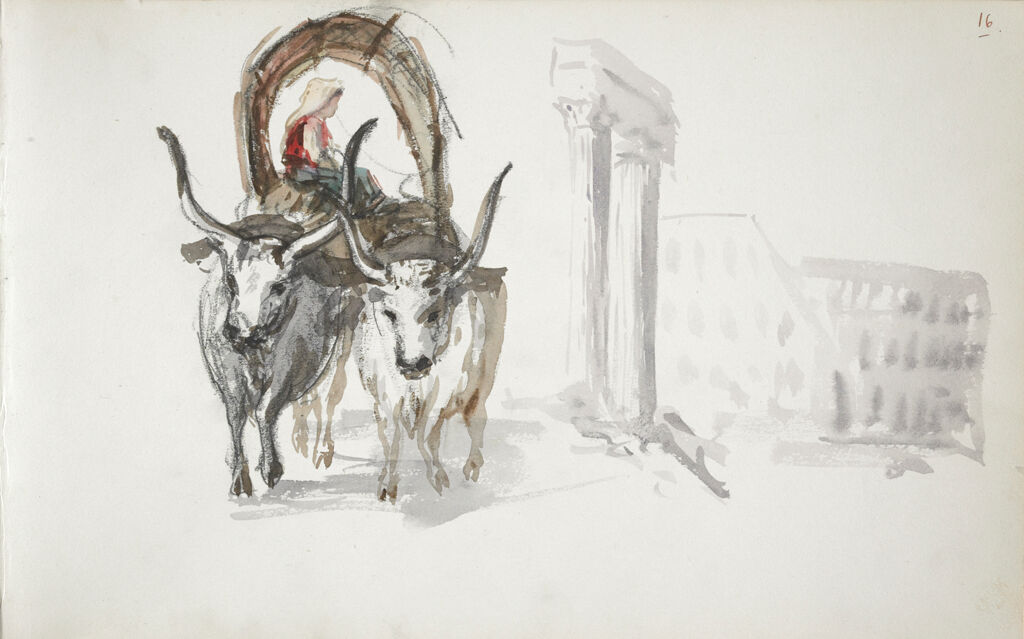 Oxcart; Sketch Of The Coliseum