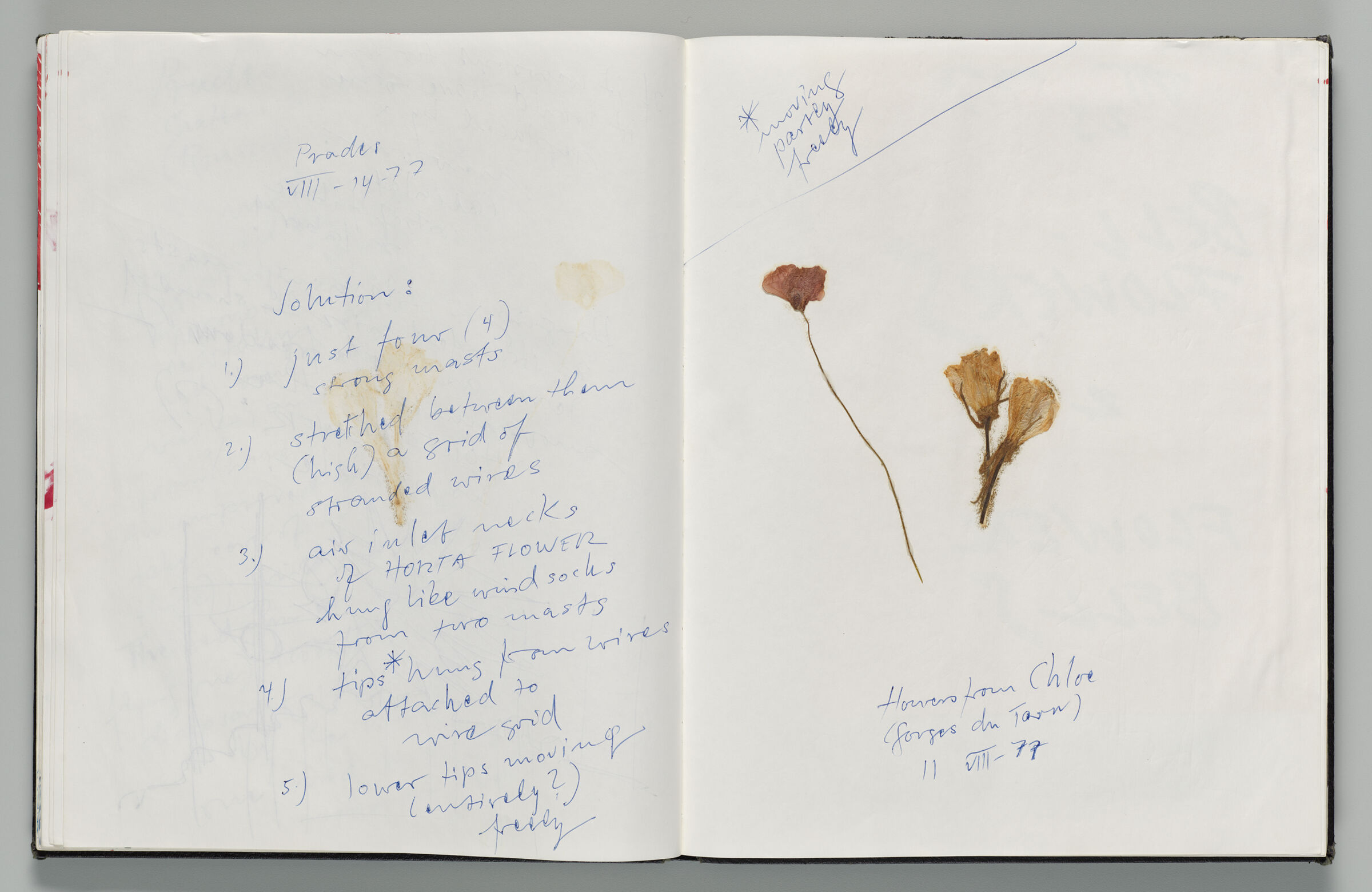Untitled (Notes And Pressed Flowers, Two-Page Spread)