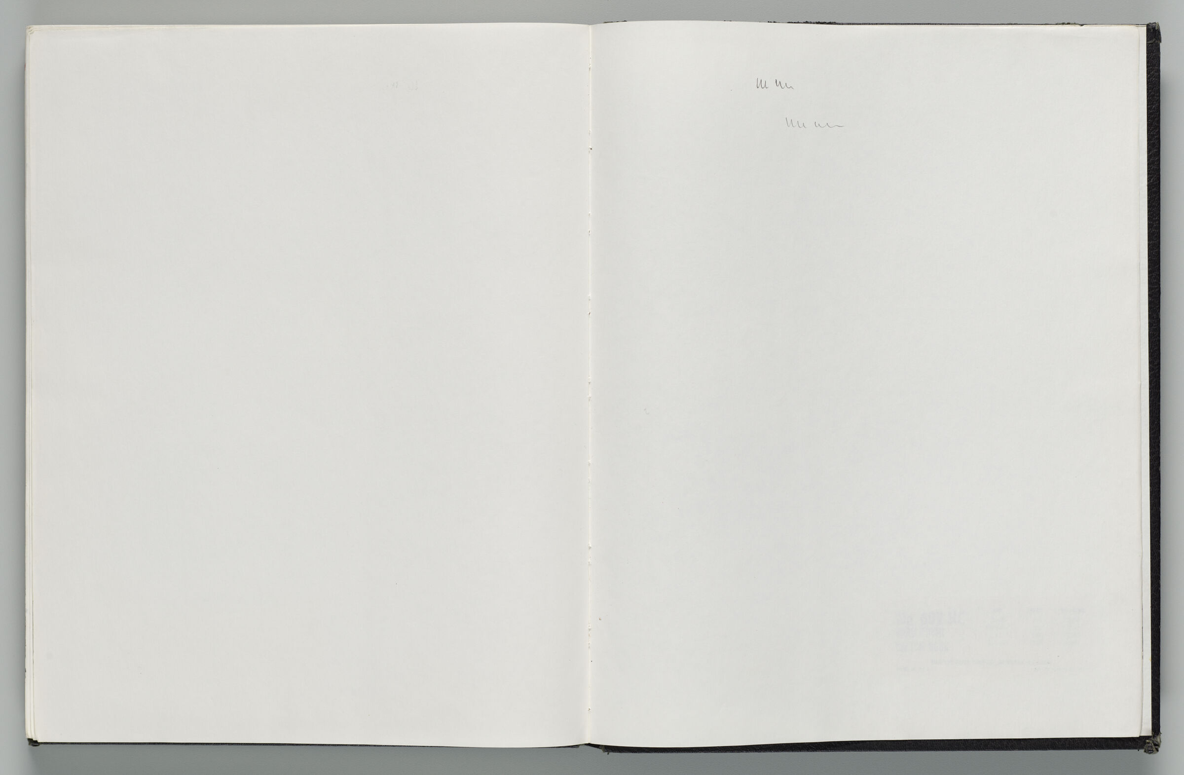 Untitled (Blank, Left Page); Untitled (Graphite Marks, Right Page)