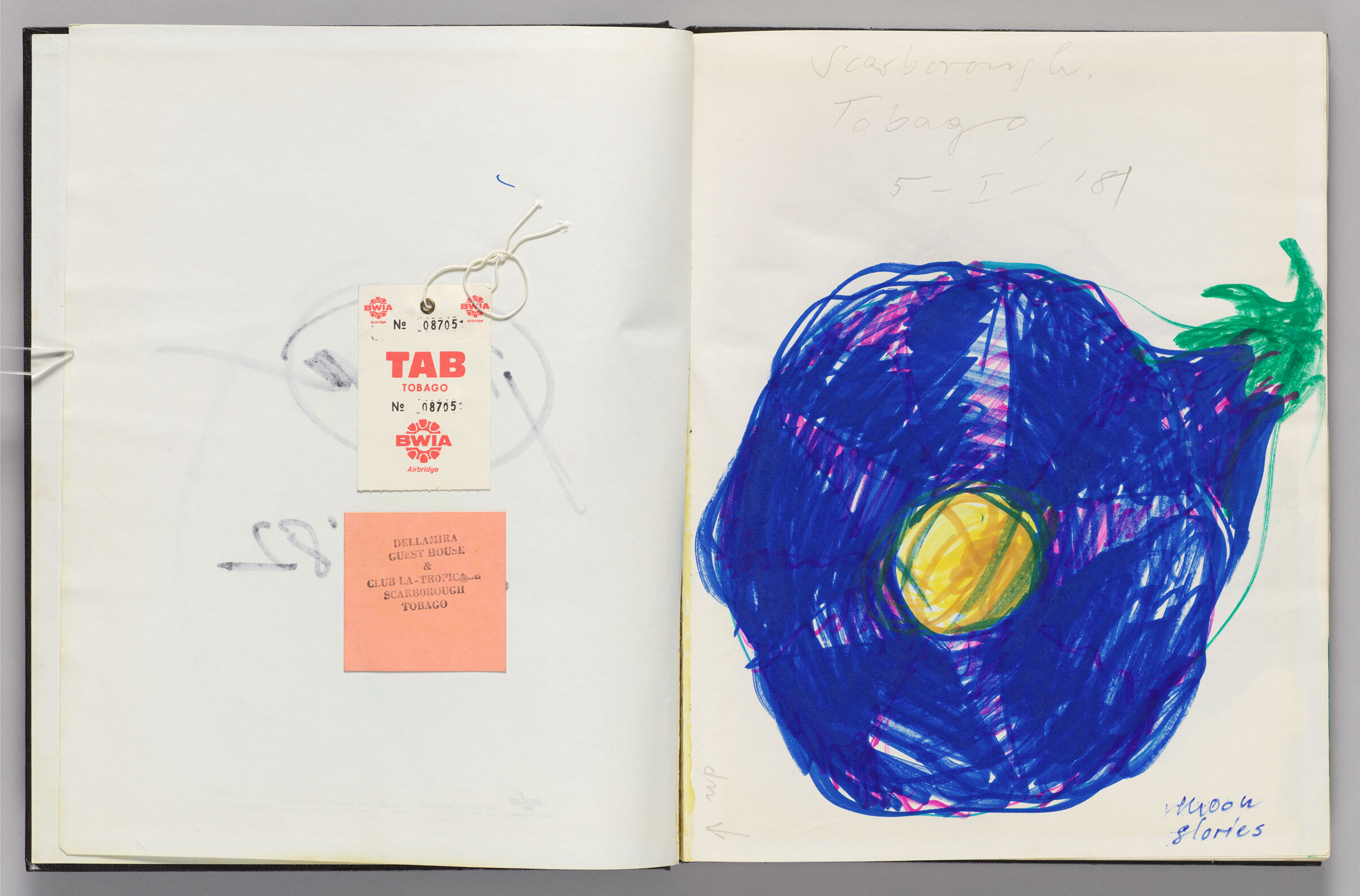 Untitled (Bwia Baggage Tag And Club La Tropica Tag, Left Page); Untitled (Moon Glories, Right Page)