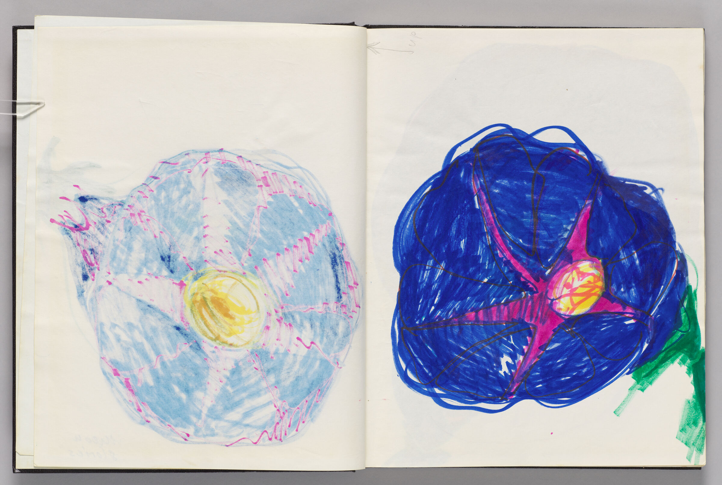 Untitled (Bleed-Through Of Previous Page, Left Page); Untitled (Moon Glory, Right Page)