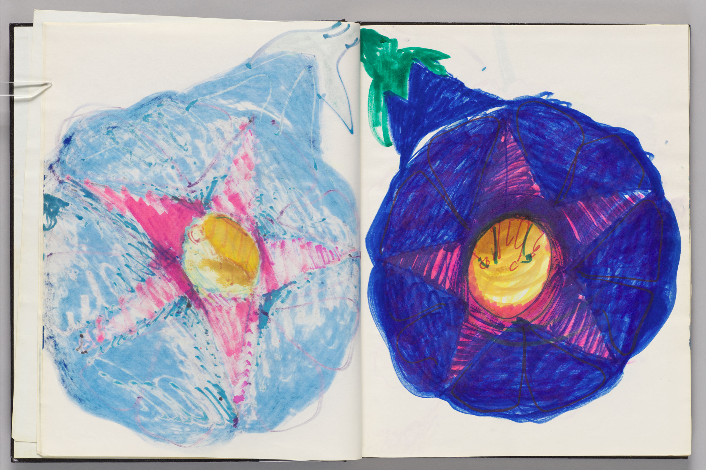 Untitled (Bleed-Through Of Previous Page, Left Page); Untitled (Moon Glory, Right Page)