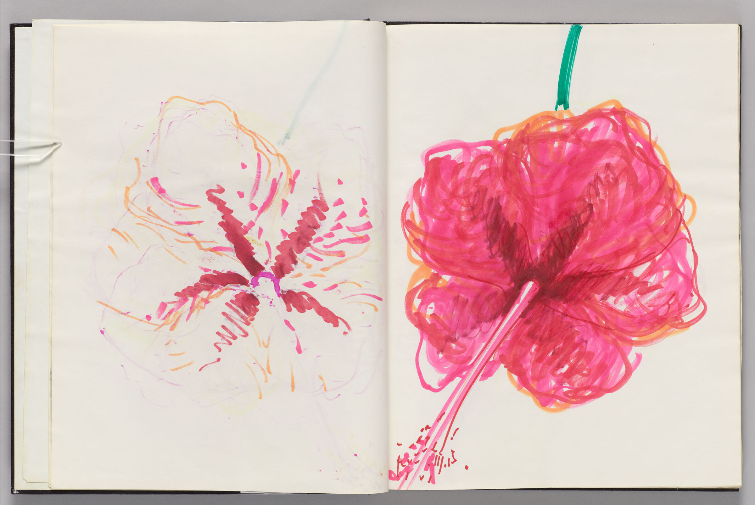 Untitled (Bleed-Through Of Previous Page, Left Page); Untitled (Hibiscus, Right Page)