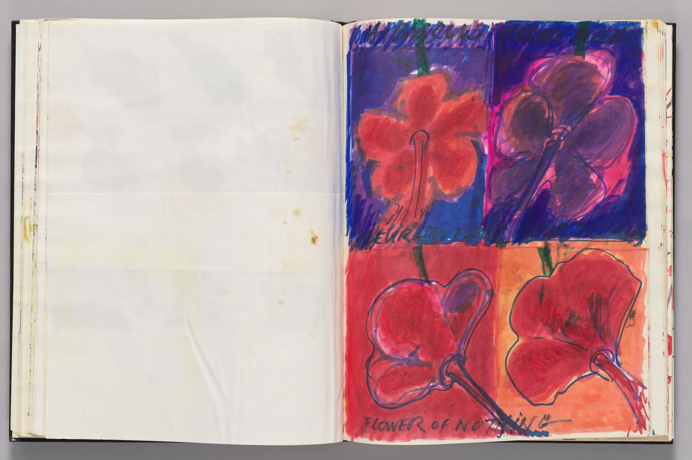 Untitled (Blank, Left Page); Untitled (Hibiscus/Flower Of Nothing, Right Page)