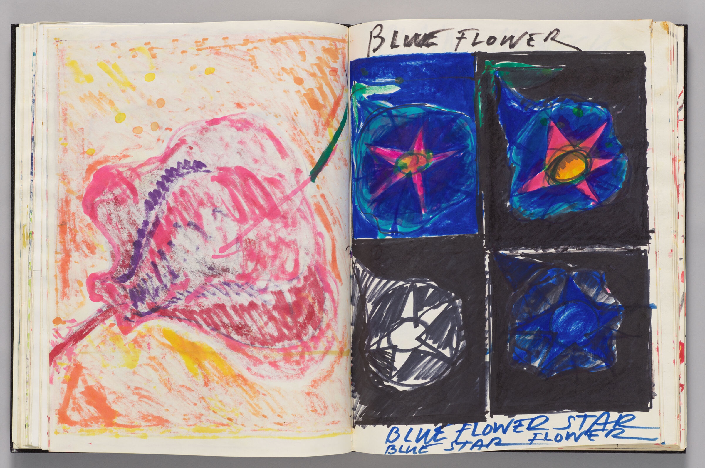Untitled (Bleed-Through Of Previous Page, Left Page); Untitled (Blue Flowers, Right Page)