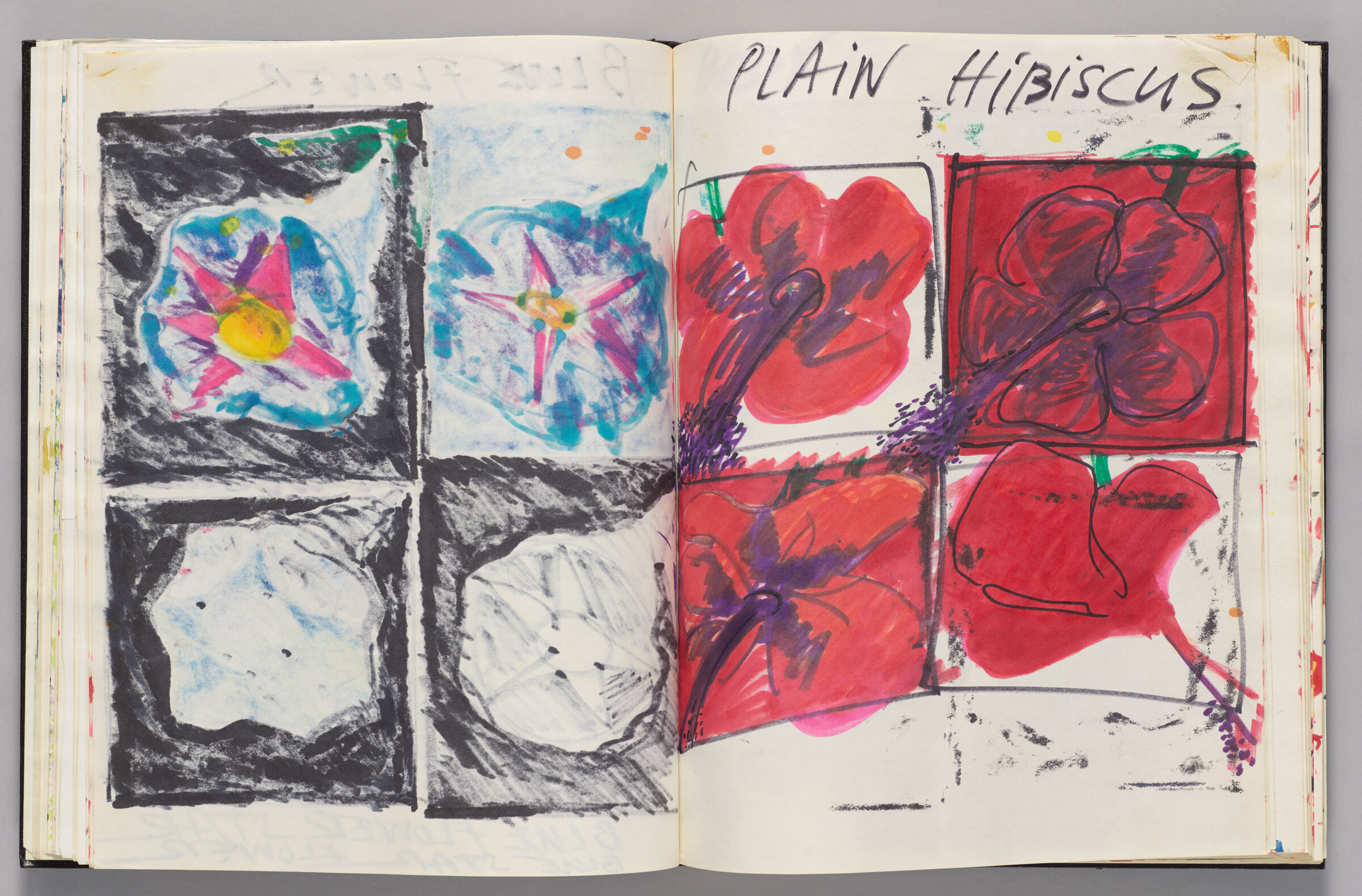 Untitled (Bleed-Through Of Previous Page, Left Page); Untitled (Hibiscuses, Right Page)