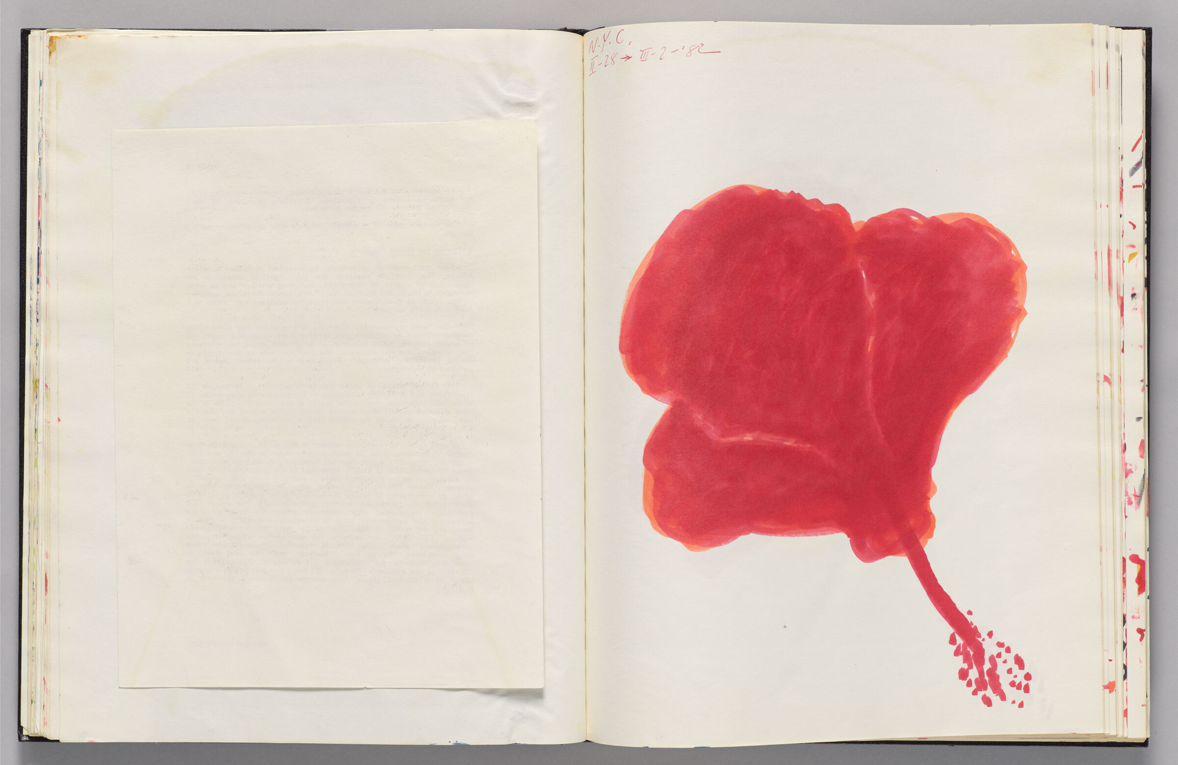 Untitled (Blank, Left Page); Untitled (Hibiscus, Right Page)