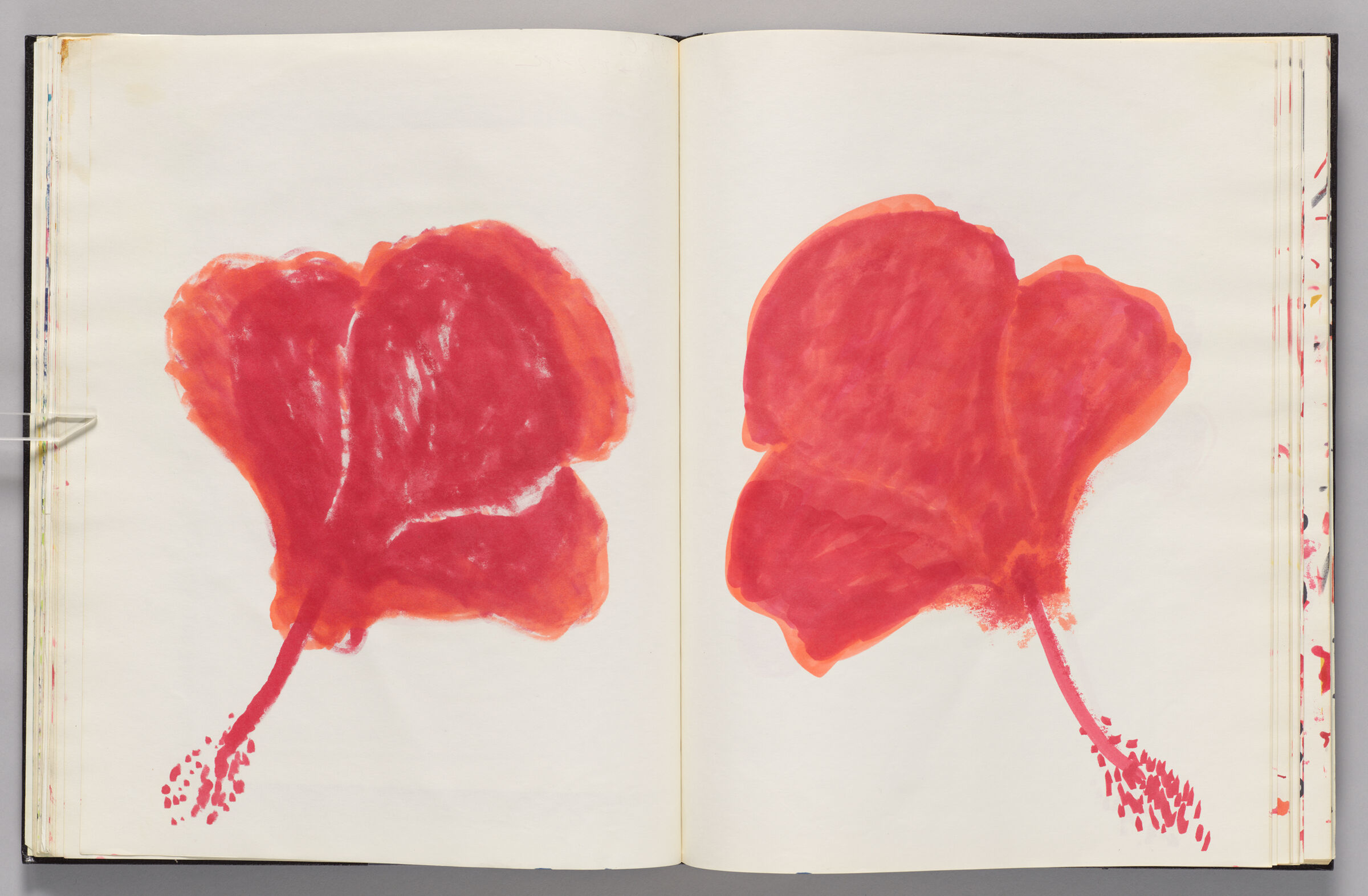 Untitled (Hibiscus Over Bleed-Through From Previous Page, Left Page); Untitled (Hibiscus, Right Page)