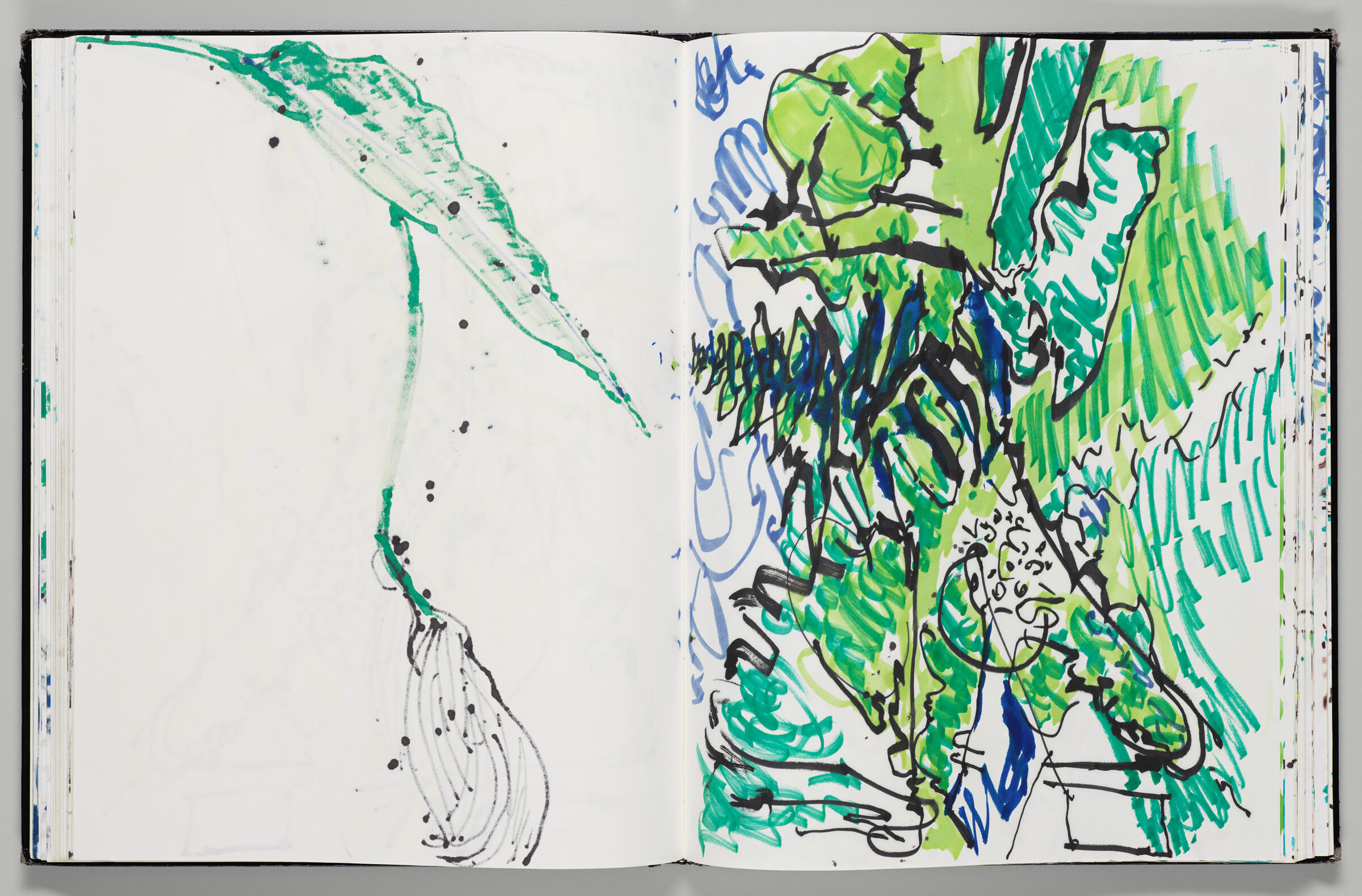 Untitled (Bleed-Through Of Previous Page, Left Page); Untitled (Landscape, Right Page)