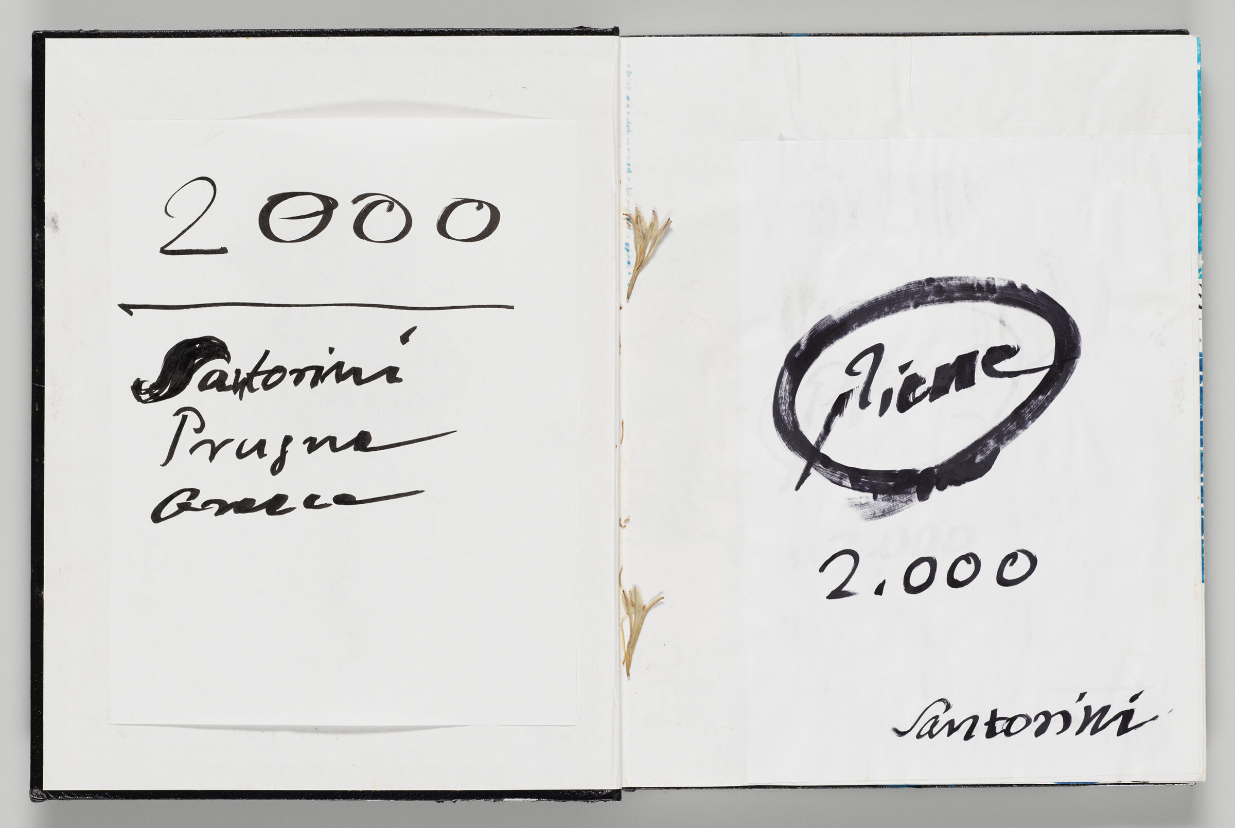 Untitled (Front Endpaper With Color Transfer Of Signature, Left Page); Untitled (Adhered Signature Page, Right Page)