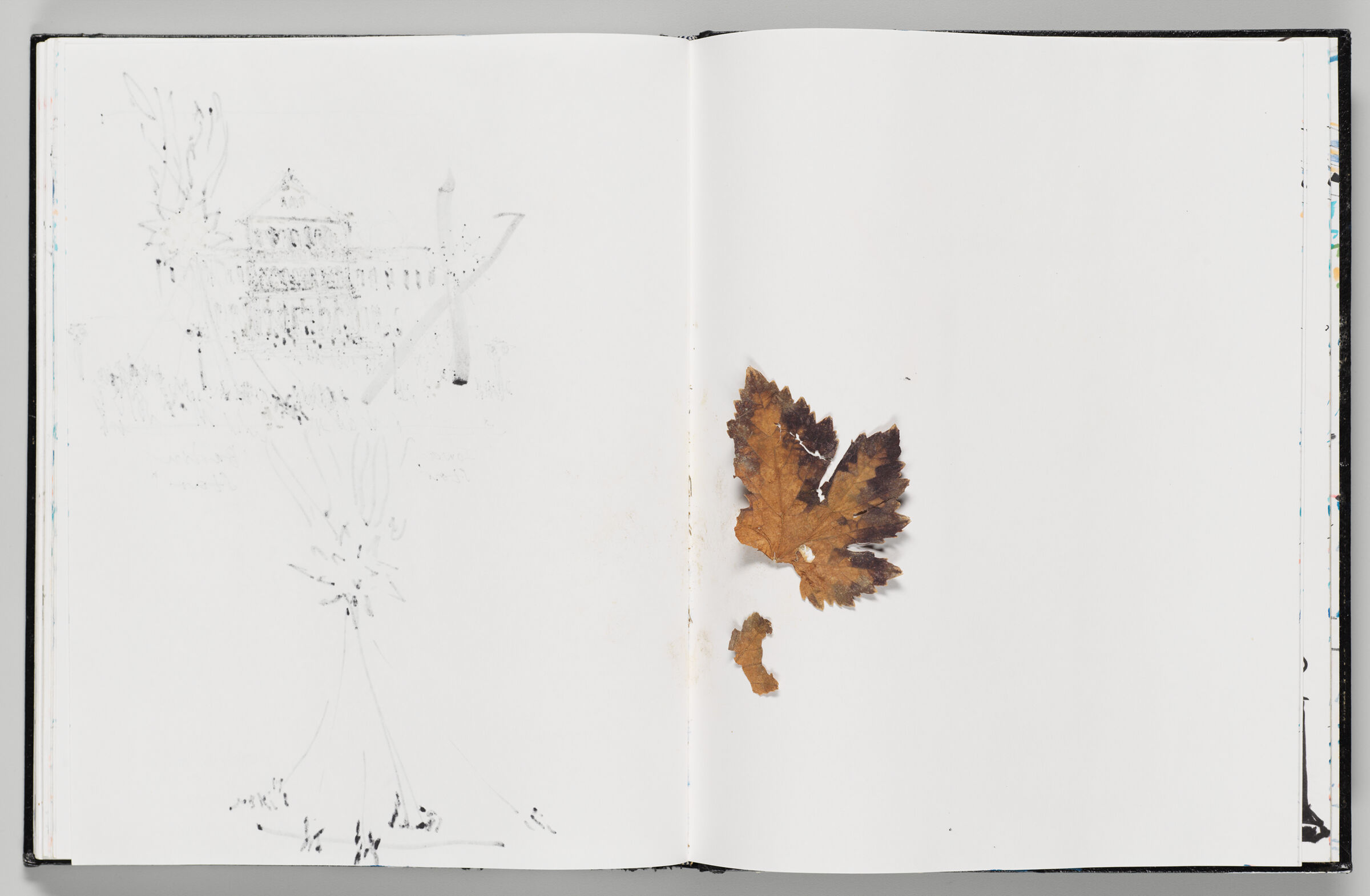 Untitled (Bleed-Through From Previous Page, Left Page); Untitled (Blank, Right Page)
