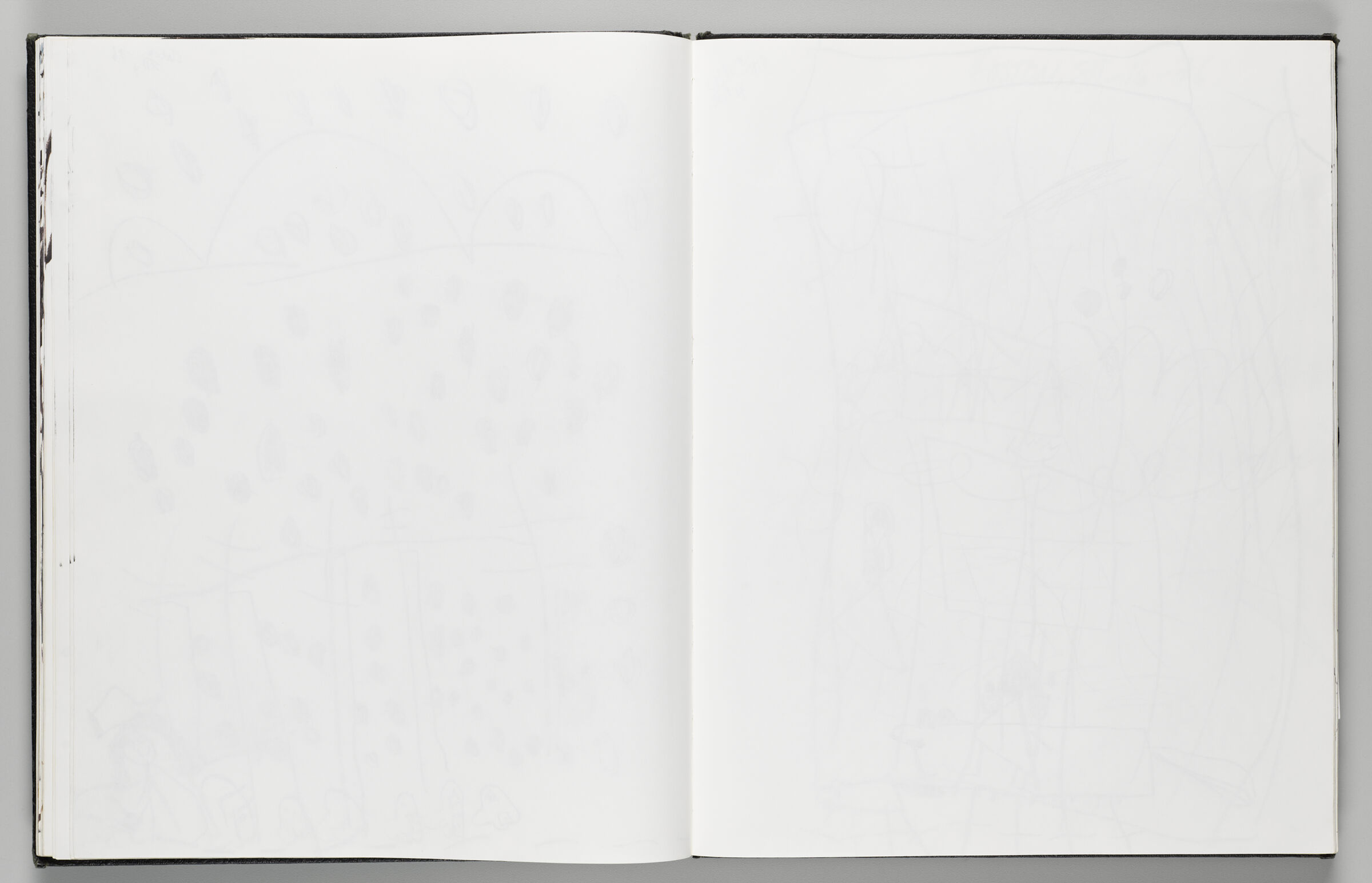 Untitled (Blank, Left Page) ; Untitled (Blank, Right Page)
