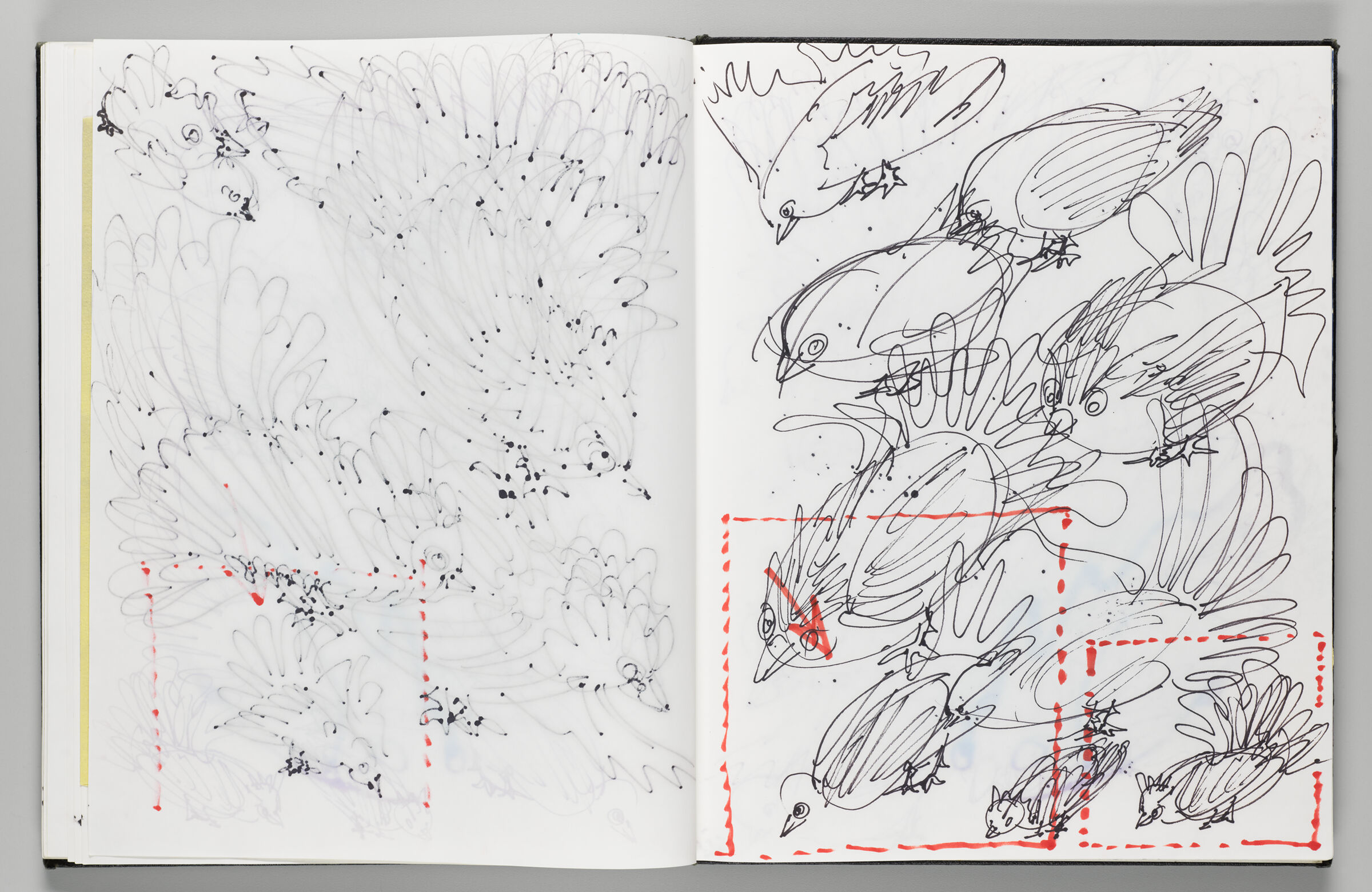 Untitled (Bleed-Through Of Previous Page, Left Page); Untitled (Bird Inflatables, Right Page)
