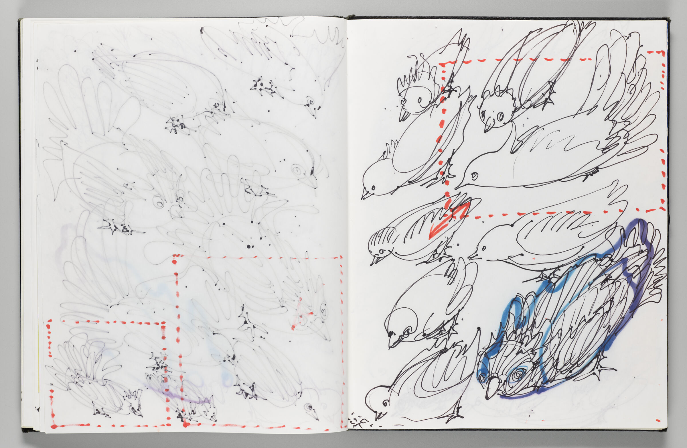 Untitled (Bleed-Through Of Previous Page, Left Page); Untitled (Bird Inflatables, Right Page)