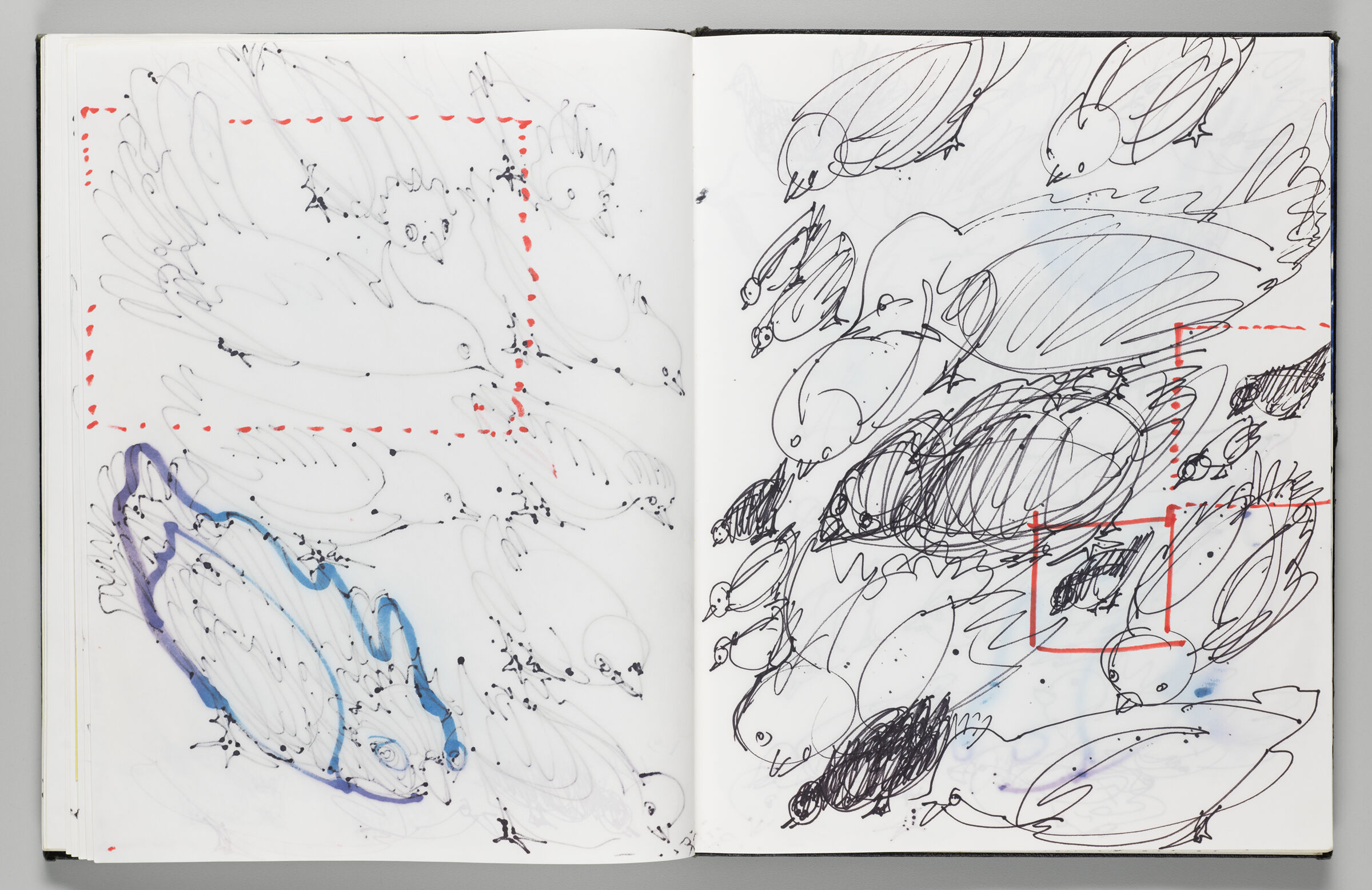 Untitled (Bleed-Through Of Previous Page, Left Page); Untitled (Bird Inflatables With Color Transfer, Right Page)