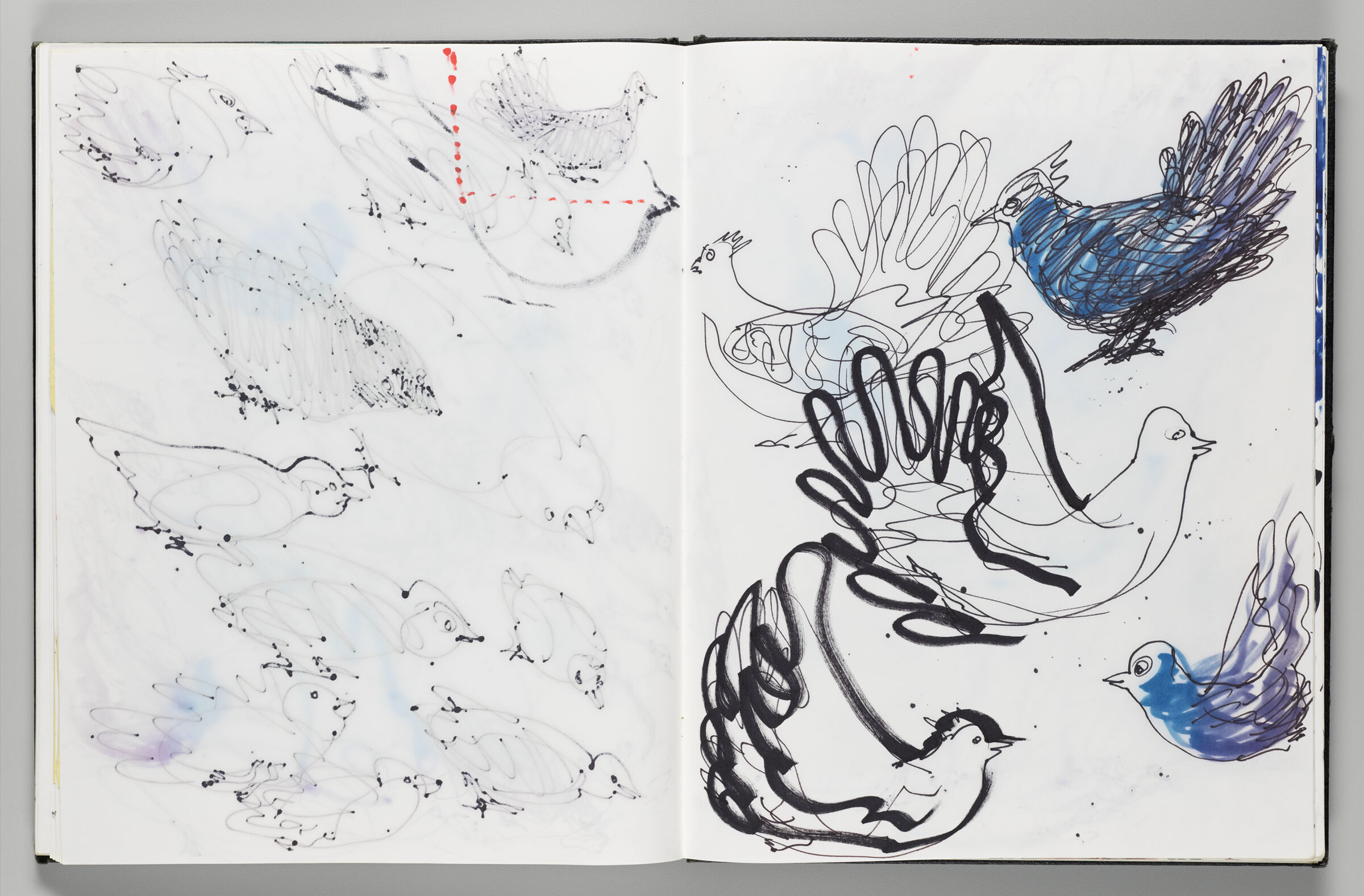 Untitled (Bleed-Through Of Previous Page, Left Page); Untitled (Bird Inflatables With Color Transfer, Right Page)
