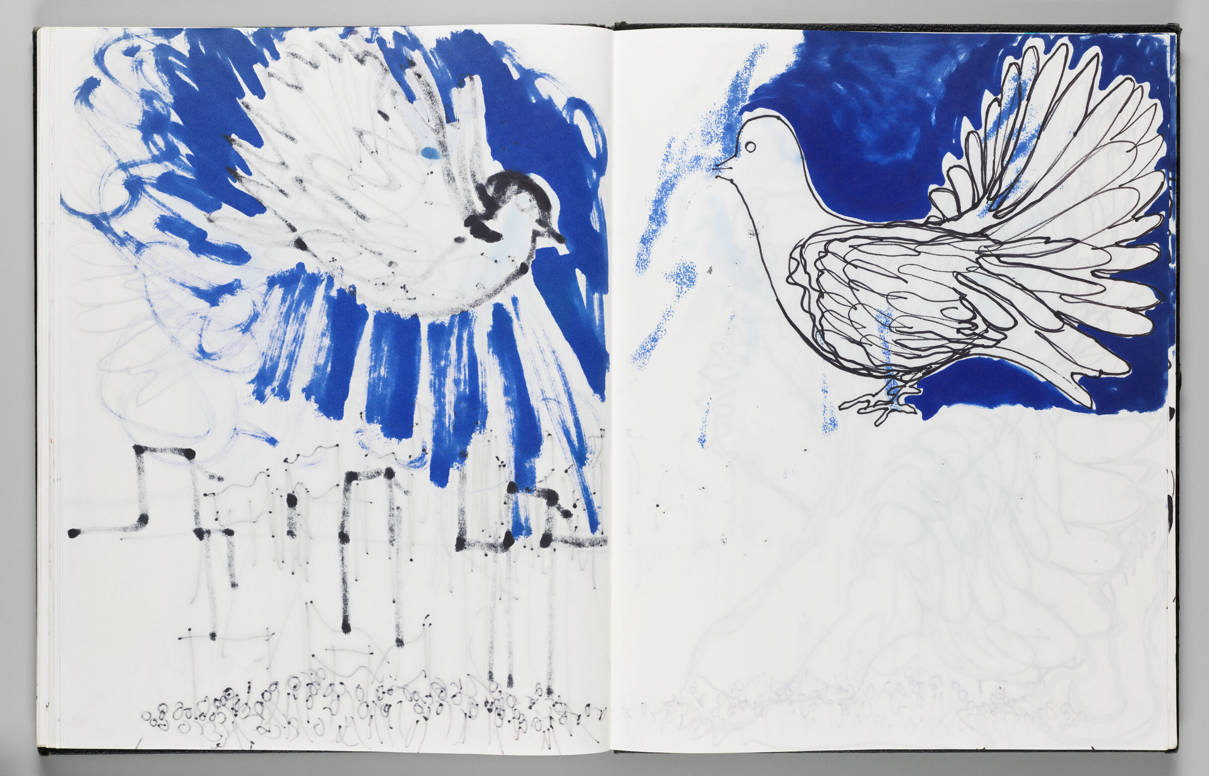Untitled (Bleed-Through Of Previous Page, Left Page); Untitled (Bird Inflatable With Color Transfer, Right Page)