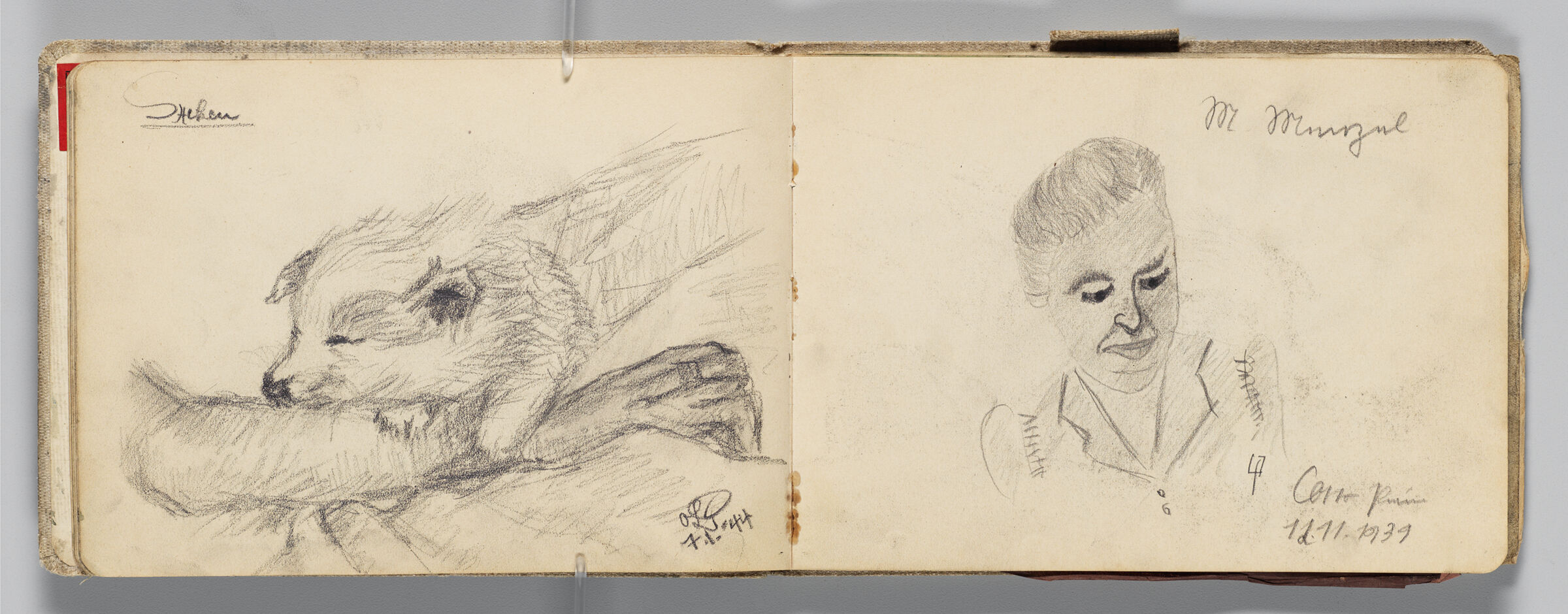 Untitled (Sketch Of Sleeping Dog In Figure's Lap, Left Page); Untitled (Portrait Of A Female Figure [Mrs. Menzel], Right Page)