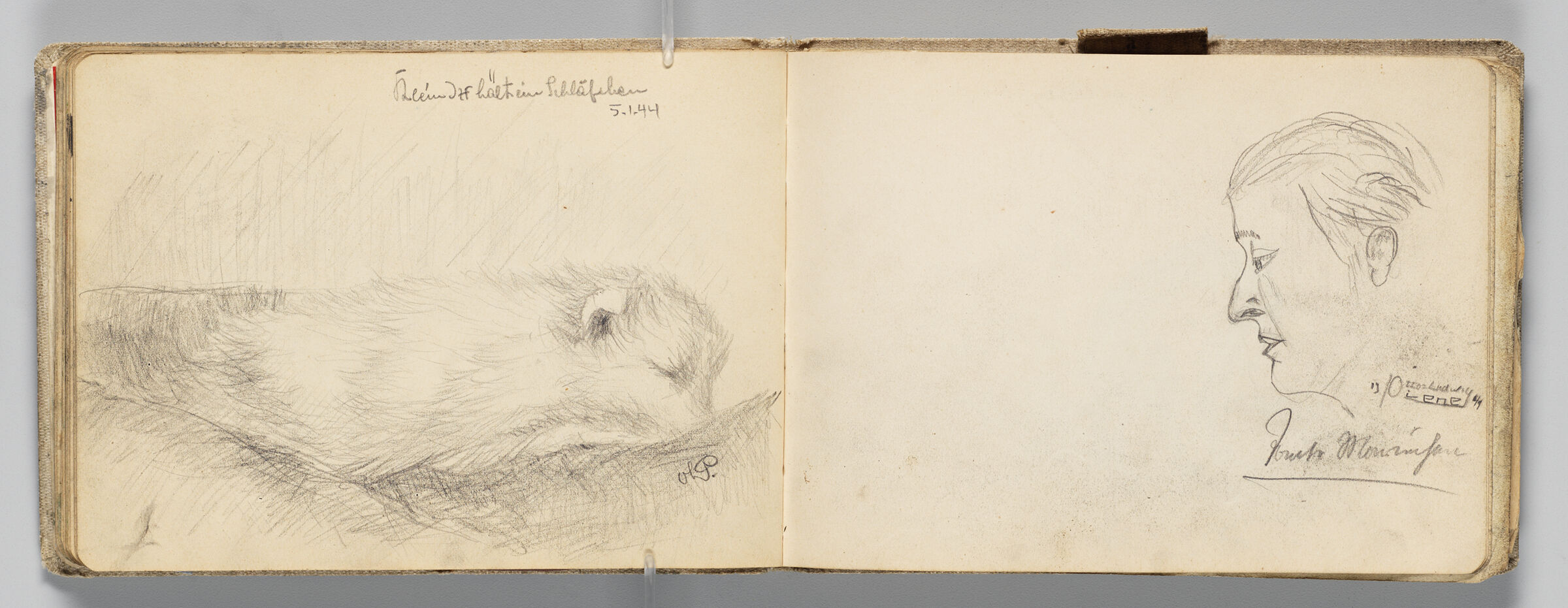 Untitled (Animal Sleeping, Left Page); Untitled (Portrait Of Artist's Aunt, Right Page)