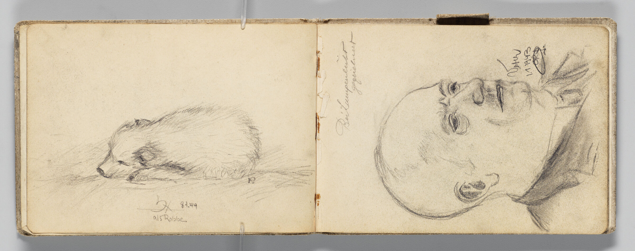 Untitled (Animal Sleeping, Left Page); Untitled (Portrait Of Artist's Father, Right Page)