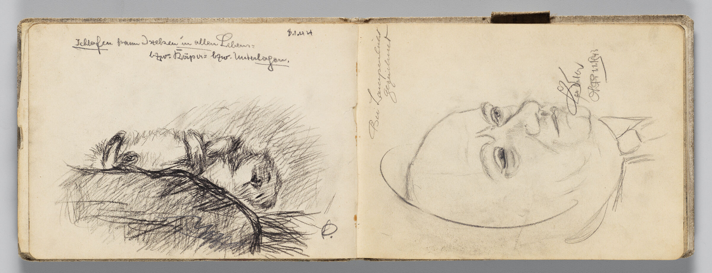 Untitled (Animal Sleeping, Left Page); Untitled (Portrait Of Male Figure, Right Page)