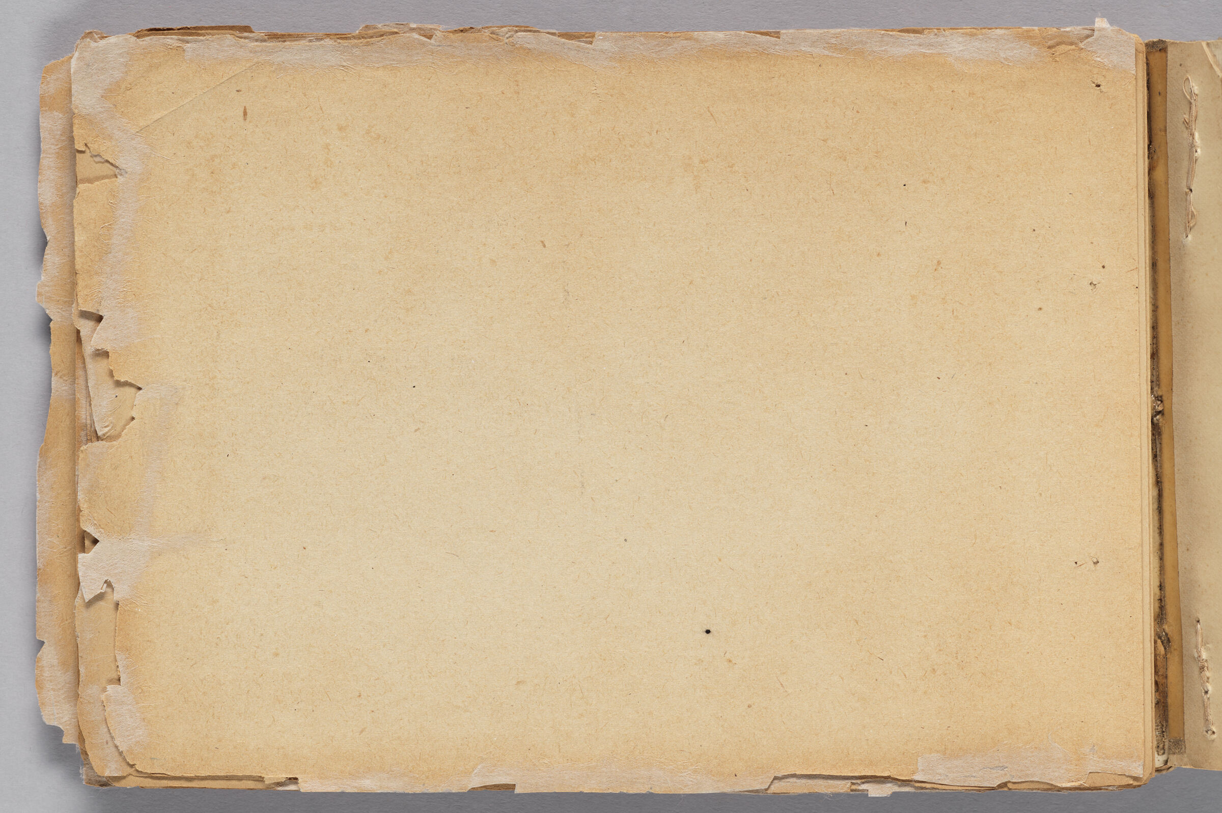 Untitled (Blank With Stray Marks, Left Page); Untitled (Blank Back Endpaper, Right Page)