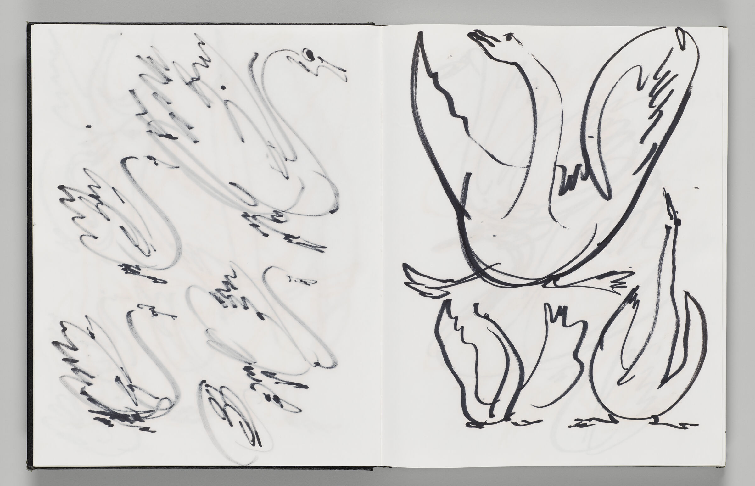 Untitled (Bleed-Through Of Previous Page, Left Page); Untitled (Black Swans, Right Page)