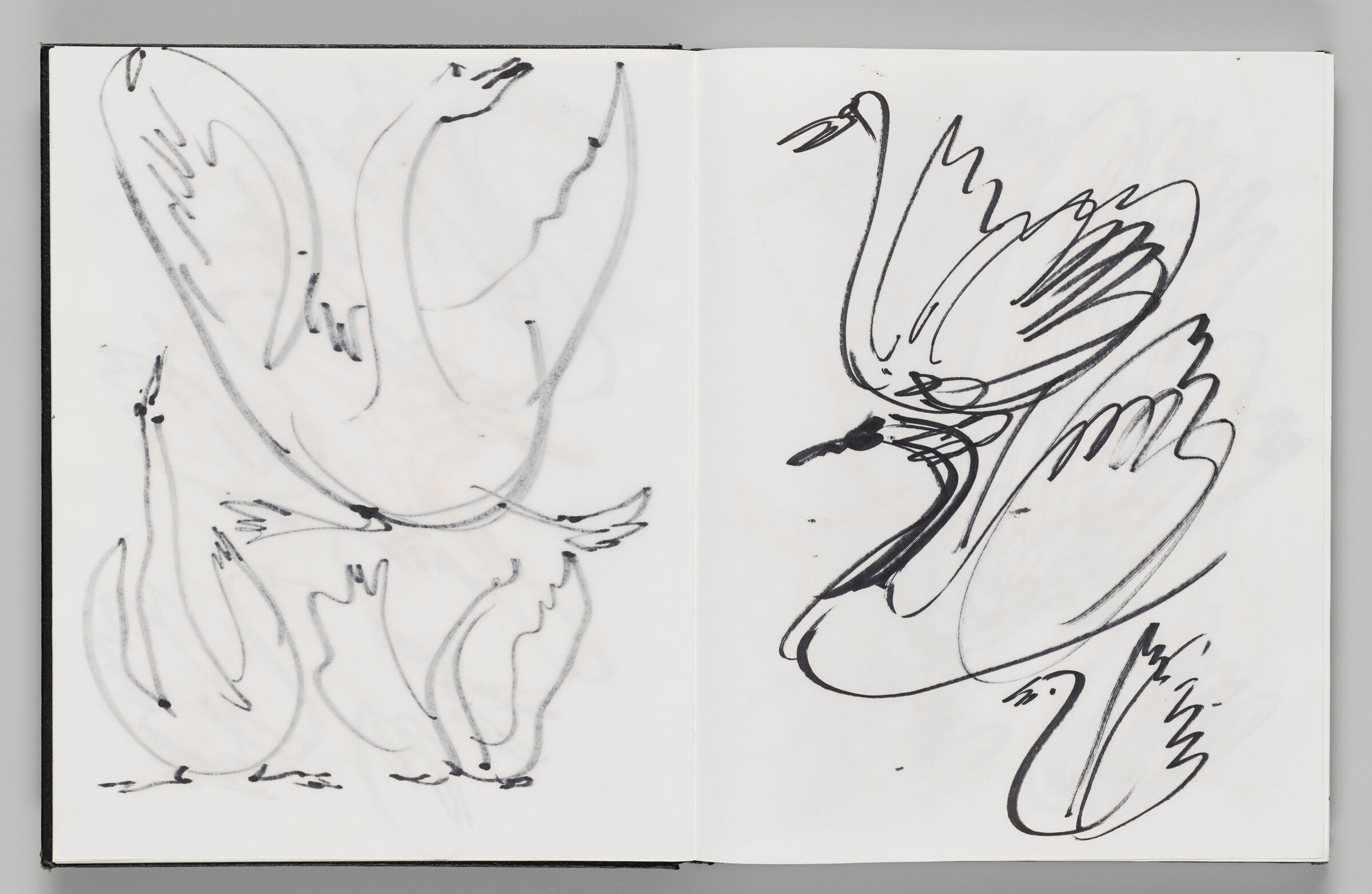Untitled (Bleed-Through Of Previous Page, Left Page); Untitled (Black Swans, Right Page)