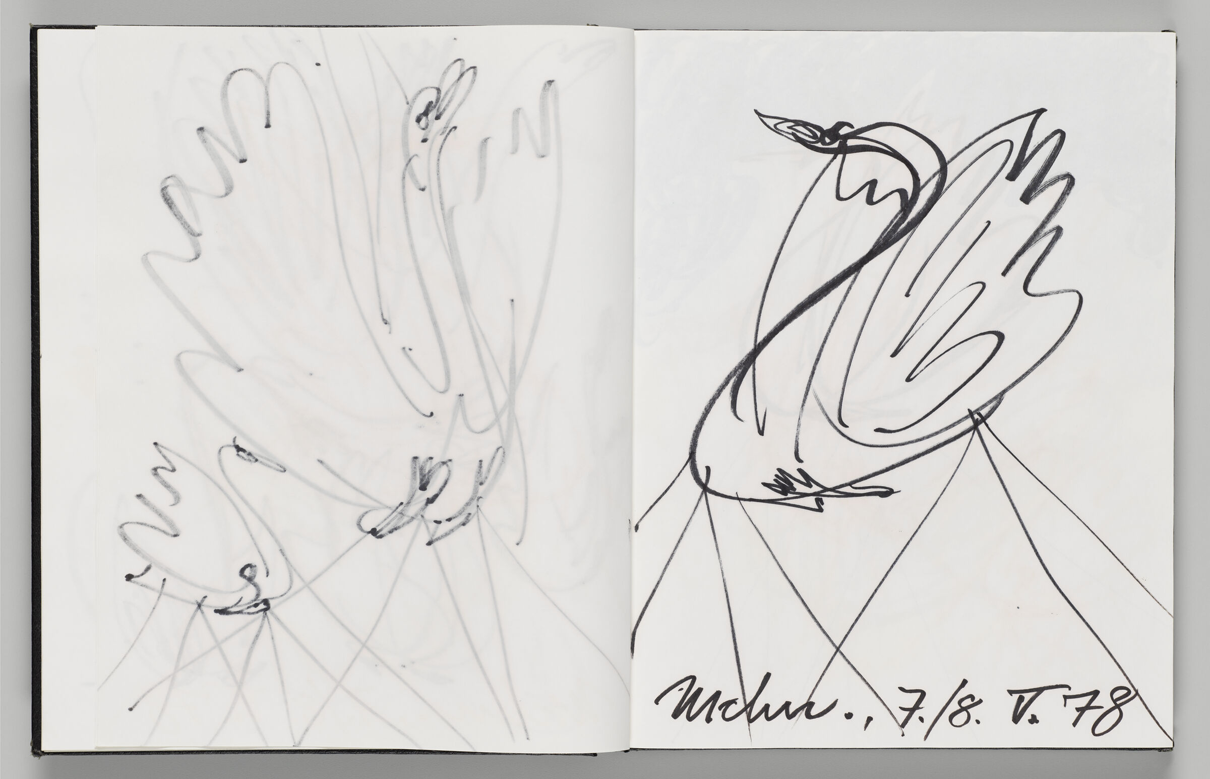 Untitled (Bleed-Through Of Previous Page, Left Page); Untitled (Black Swan Inflatables, Right Page)