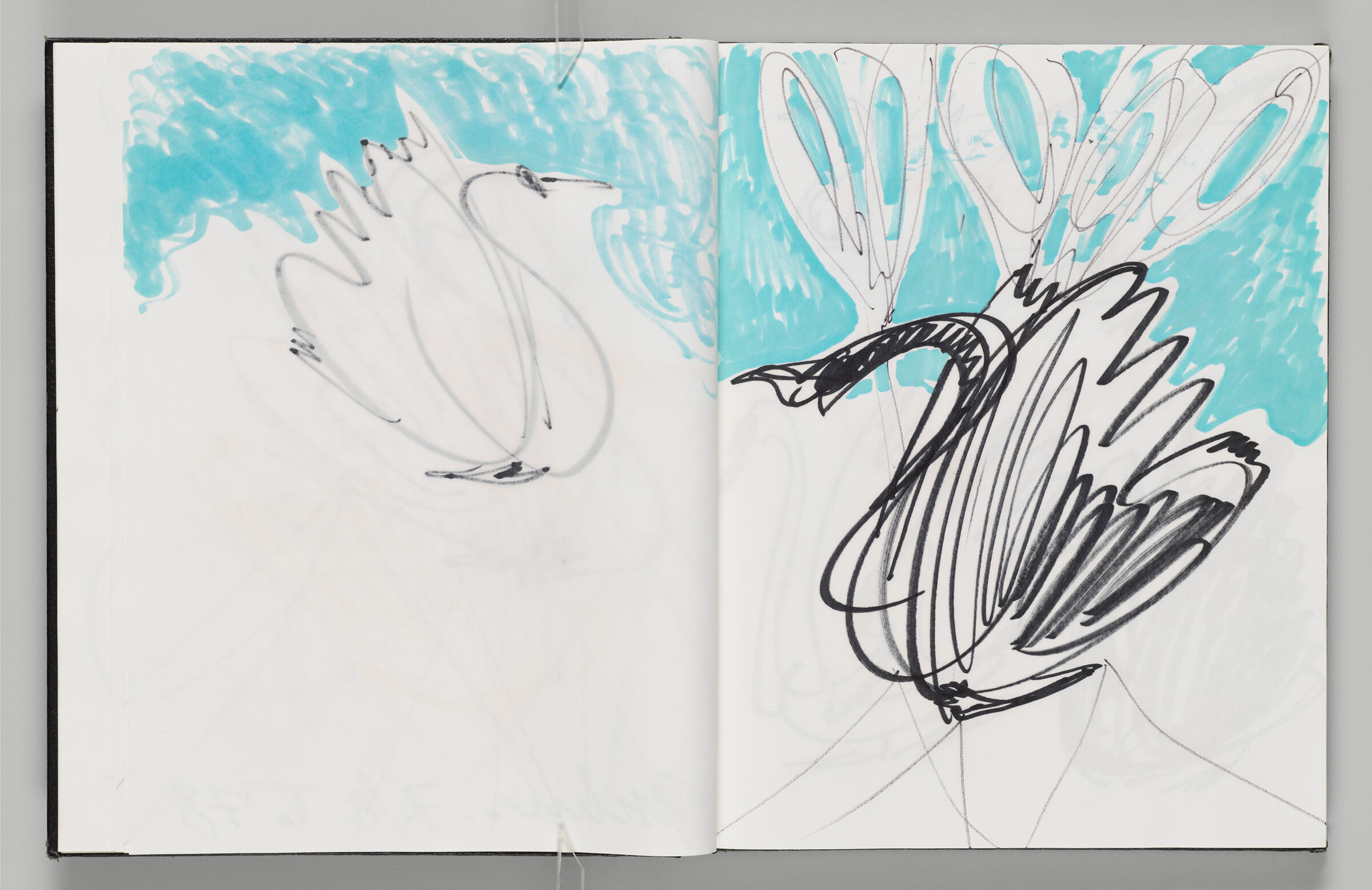 Untitled (Bleed-Through Of Previous Page, Left Page); Untitled (Black Swan Inflatable Against Aqua Sky, Right Page)