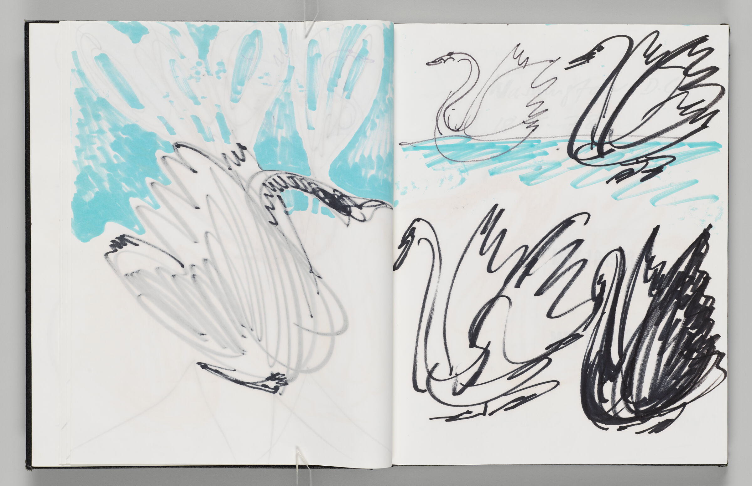 Untitled (Bleed-Through Of Previous Page, Left Page); Untitled (Black Swan Inflatable Against Aqua Sky, Right Page)