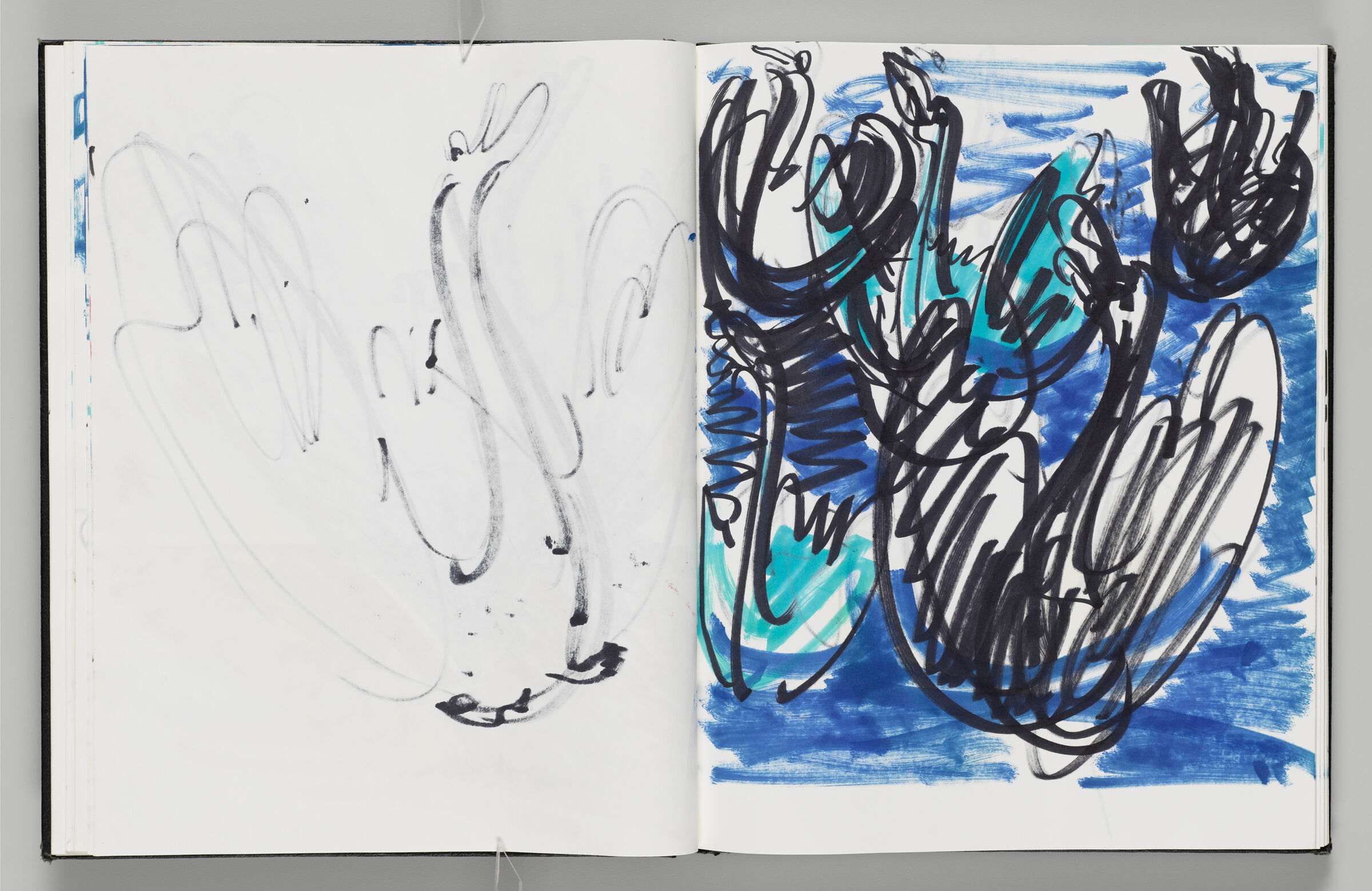 Untitled (Bleed-Through Of Previous Page, Left Page); Untitled (Swans, Right Page)