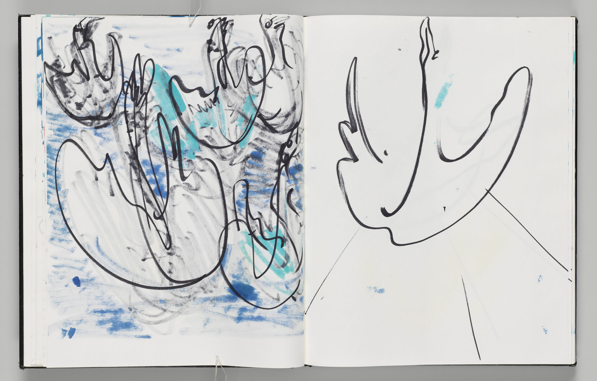Untitled (Bleed-Through Of Previous Page, Left Page); Untitled (Swan Inflatable, Right Page)