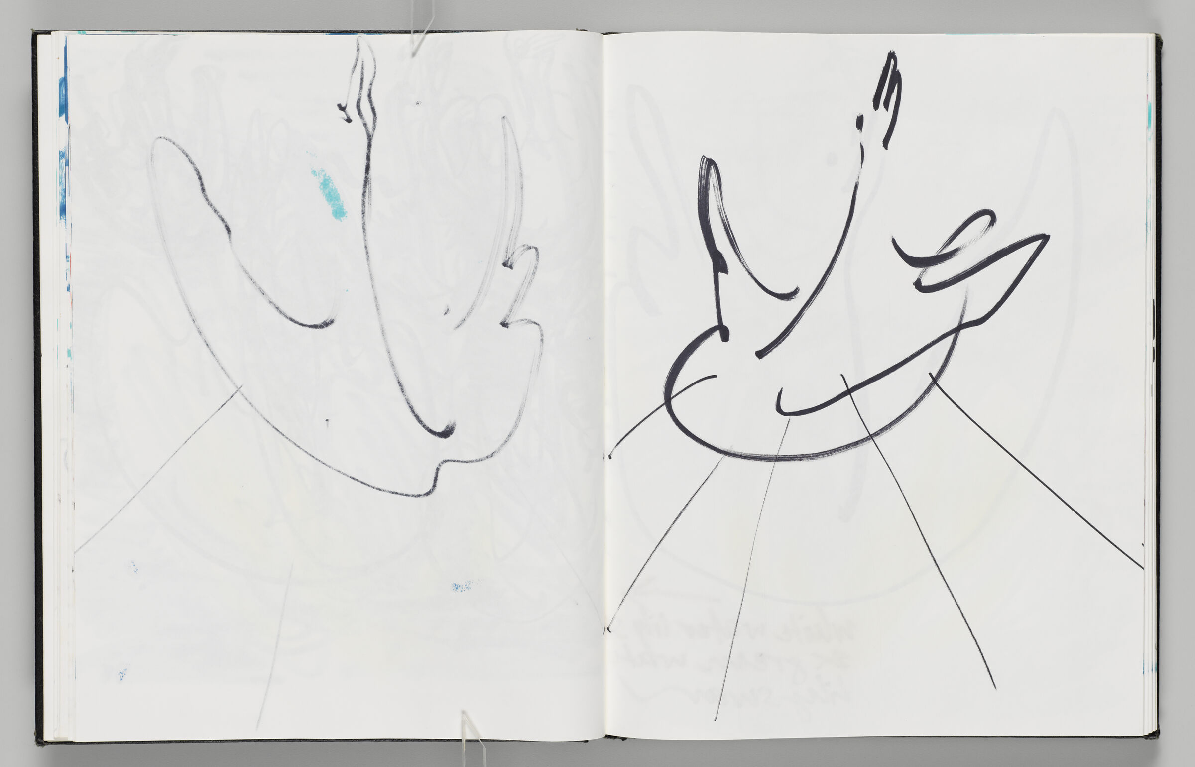 Untitled (Bleed-Through Of Previous Page, Left Page); Untitled (Swan Inflatable, Right Page)
