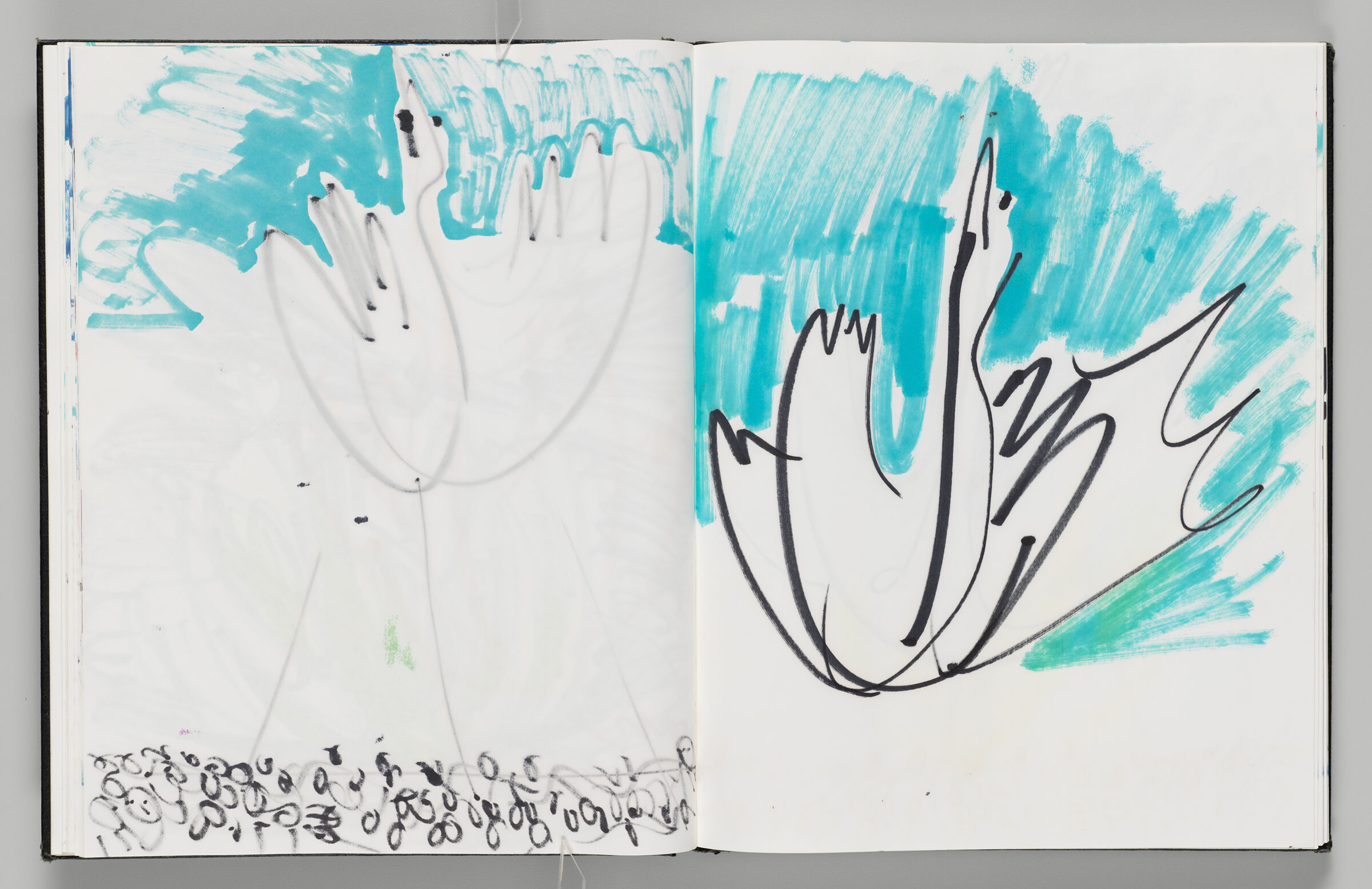 Untitled (Bleed-Through Of Previous Page, Left Page); Untitled (Swan In Sky, Right Page)