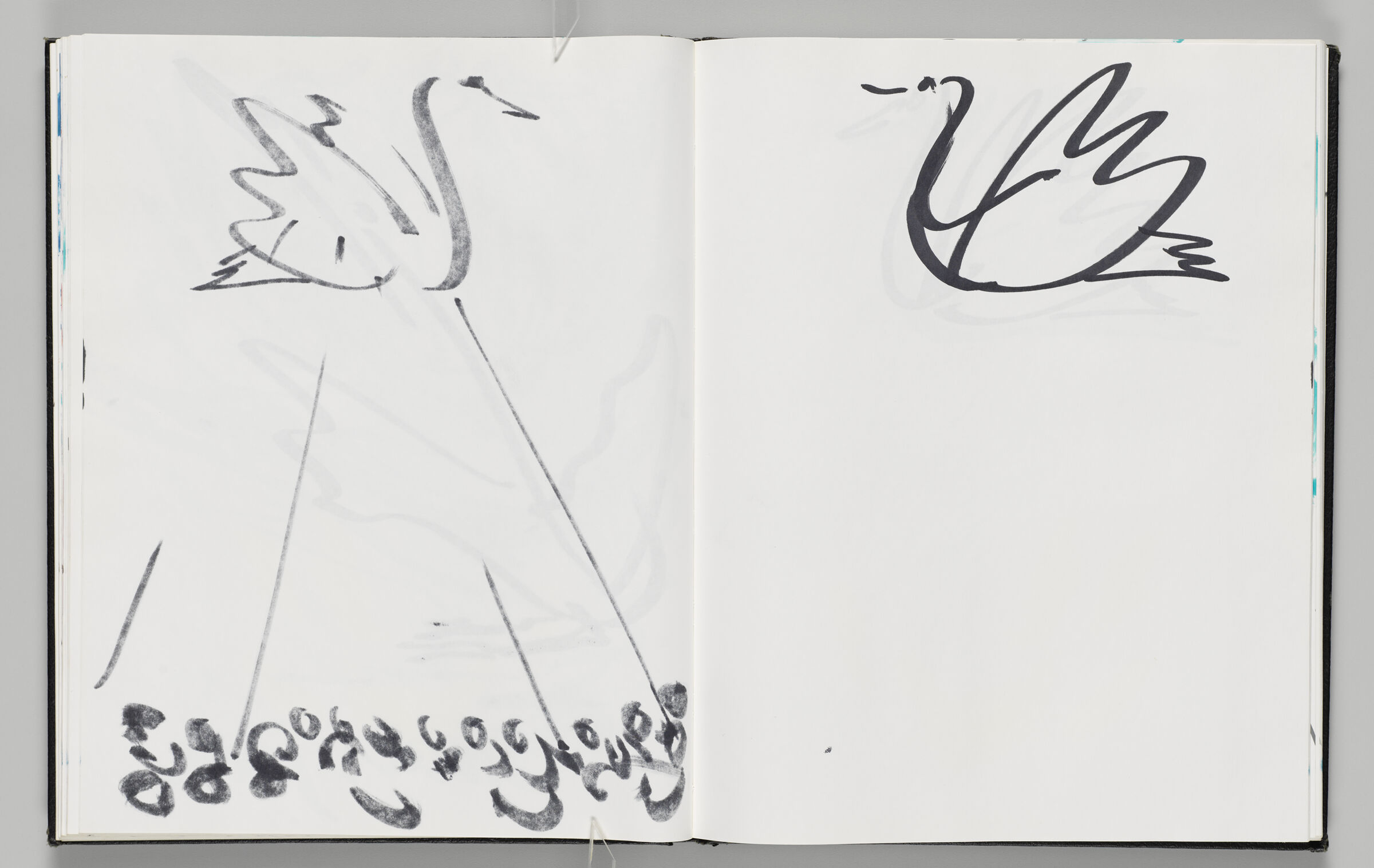 Untitled (Bleed-Through Of Previous Page, Left Page); Untitled (Swan, Right Page)