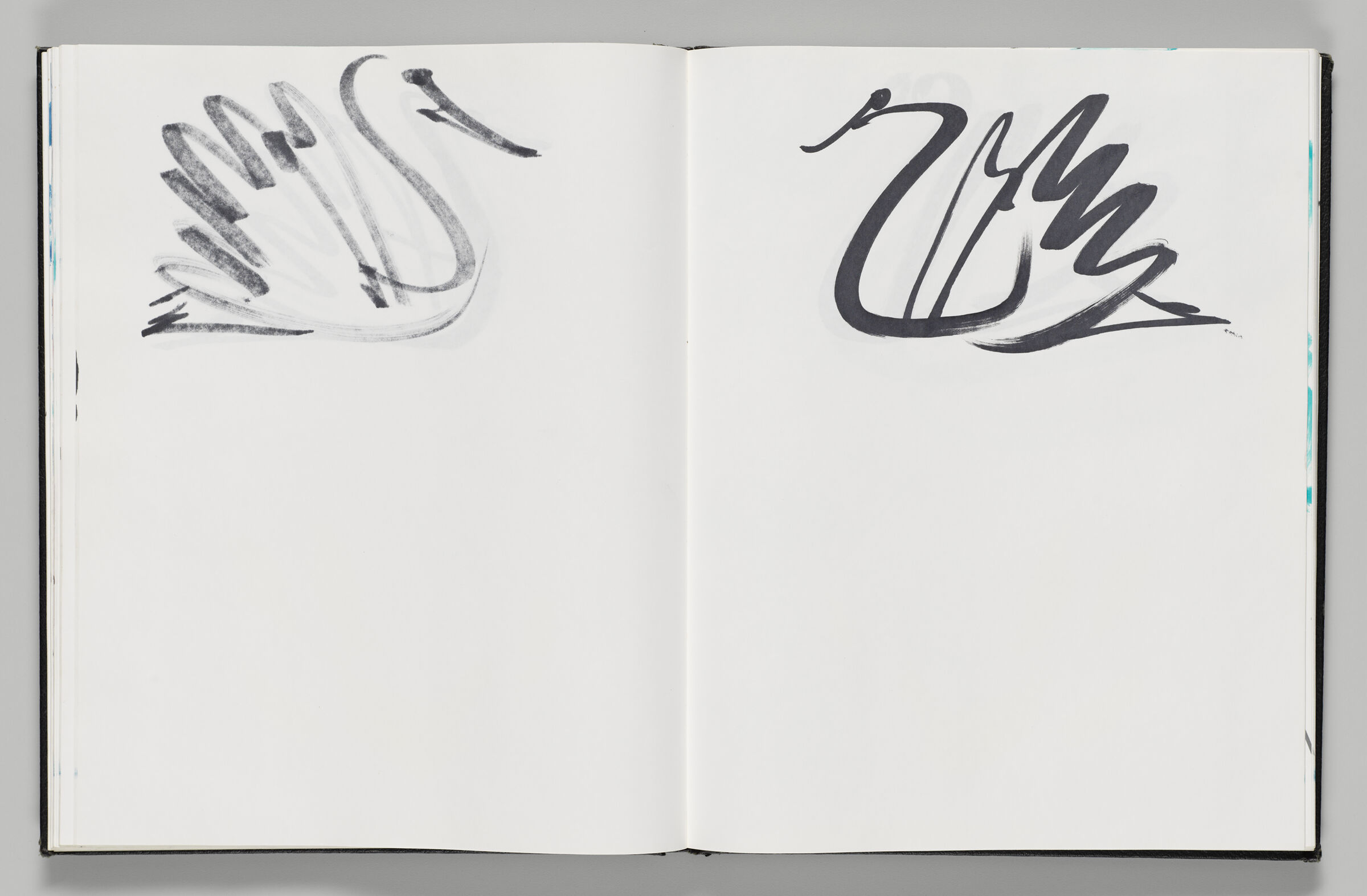 Untitled (Bleed-Through Of Previous Page, Left Page); Untitled (Swan, Right Page)