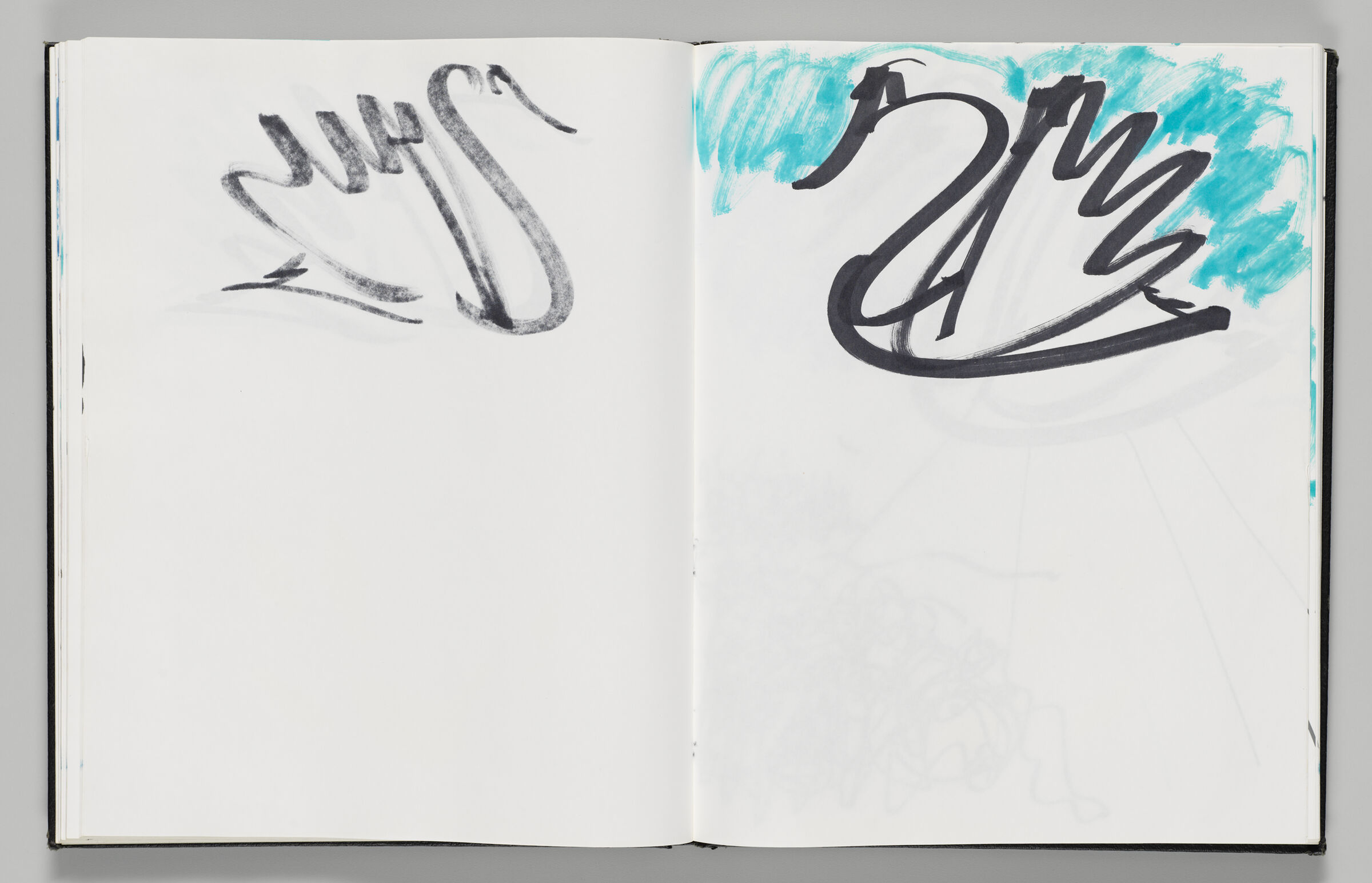 Untitled (Bleed-Through Of Previous Page, Left Page); Untitled (Swan In Sky, Right Page)