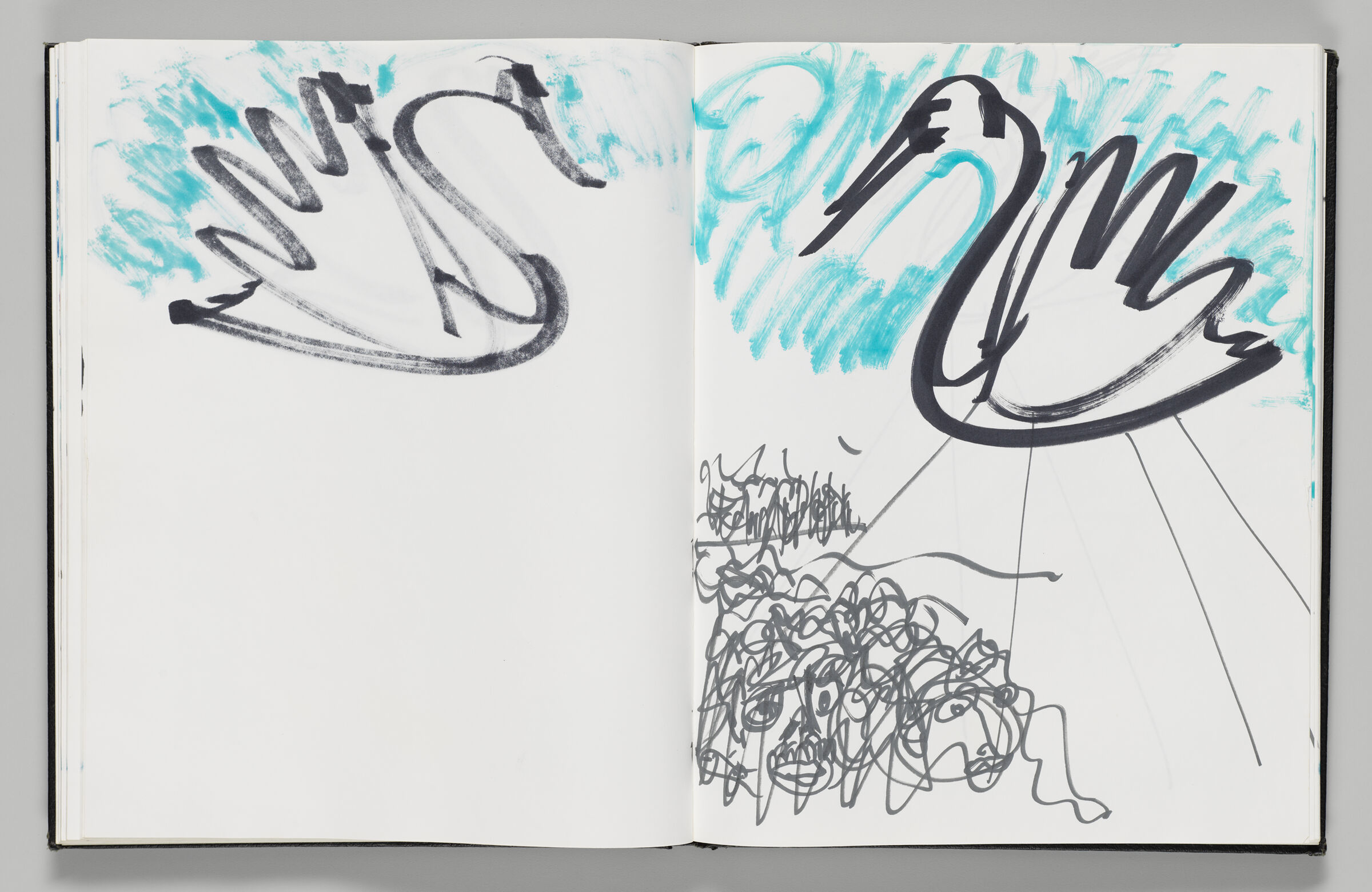 Untitled (Bleed-Through Of Previous Page, Left Page); Untitled (Swan Inflatable With Crowd, Right Page)