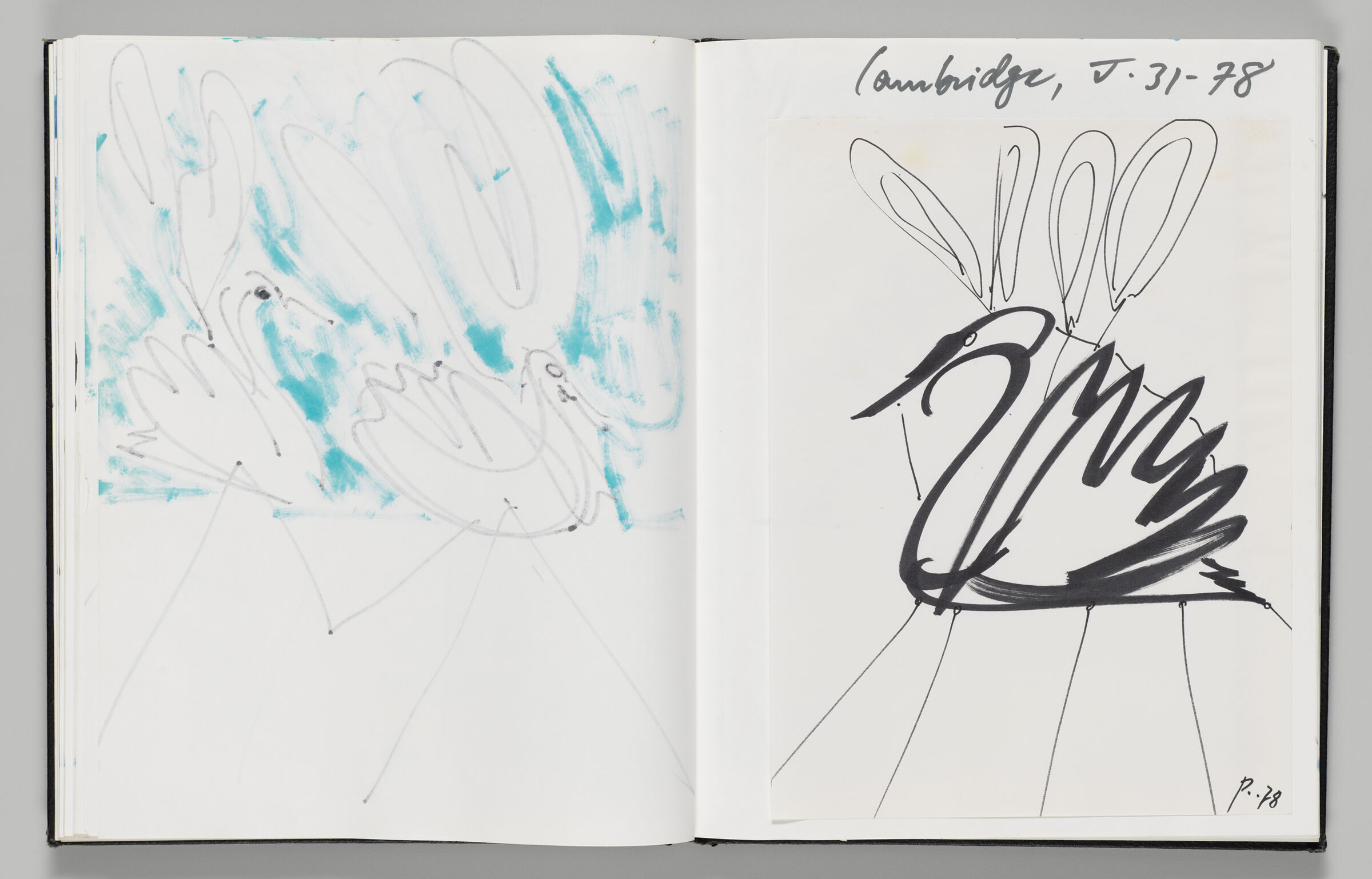 Untitled (Bleed-Through Of Previous Page, Left Page); Untitled (Adhered Sketch Of Swan Inflatable, Right Page)