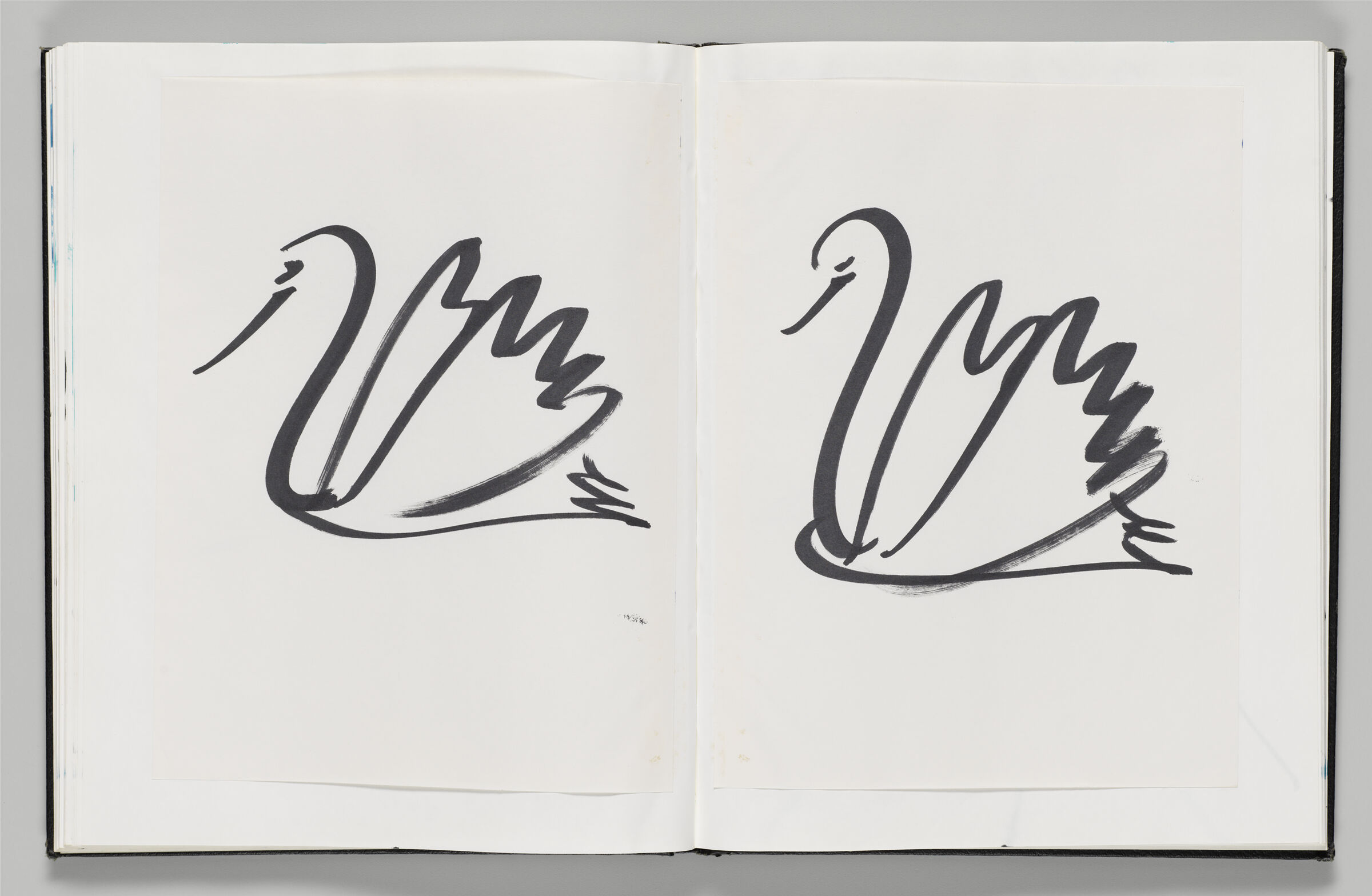Untitled (Adhered Sketch Of Swan, Left Page); Untitled (Adhered Sketch Of Swan, Right Page)
