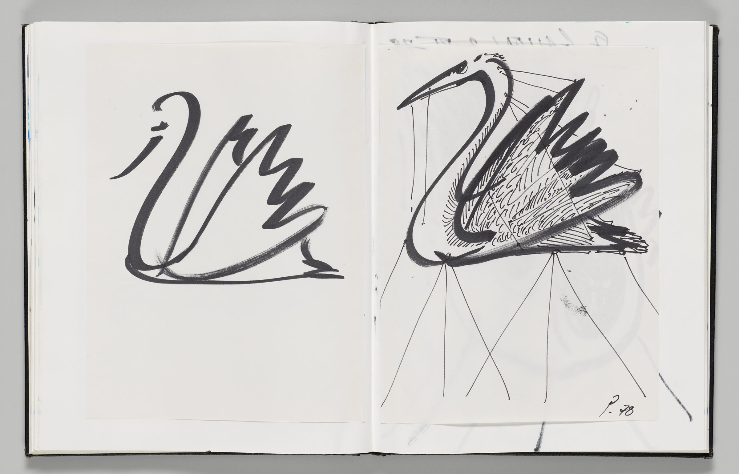 Untitled (Adhered Sketch Of Swan, Left Page); Untitled (Adhered Sketch Of Swan, Right Page)