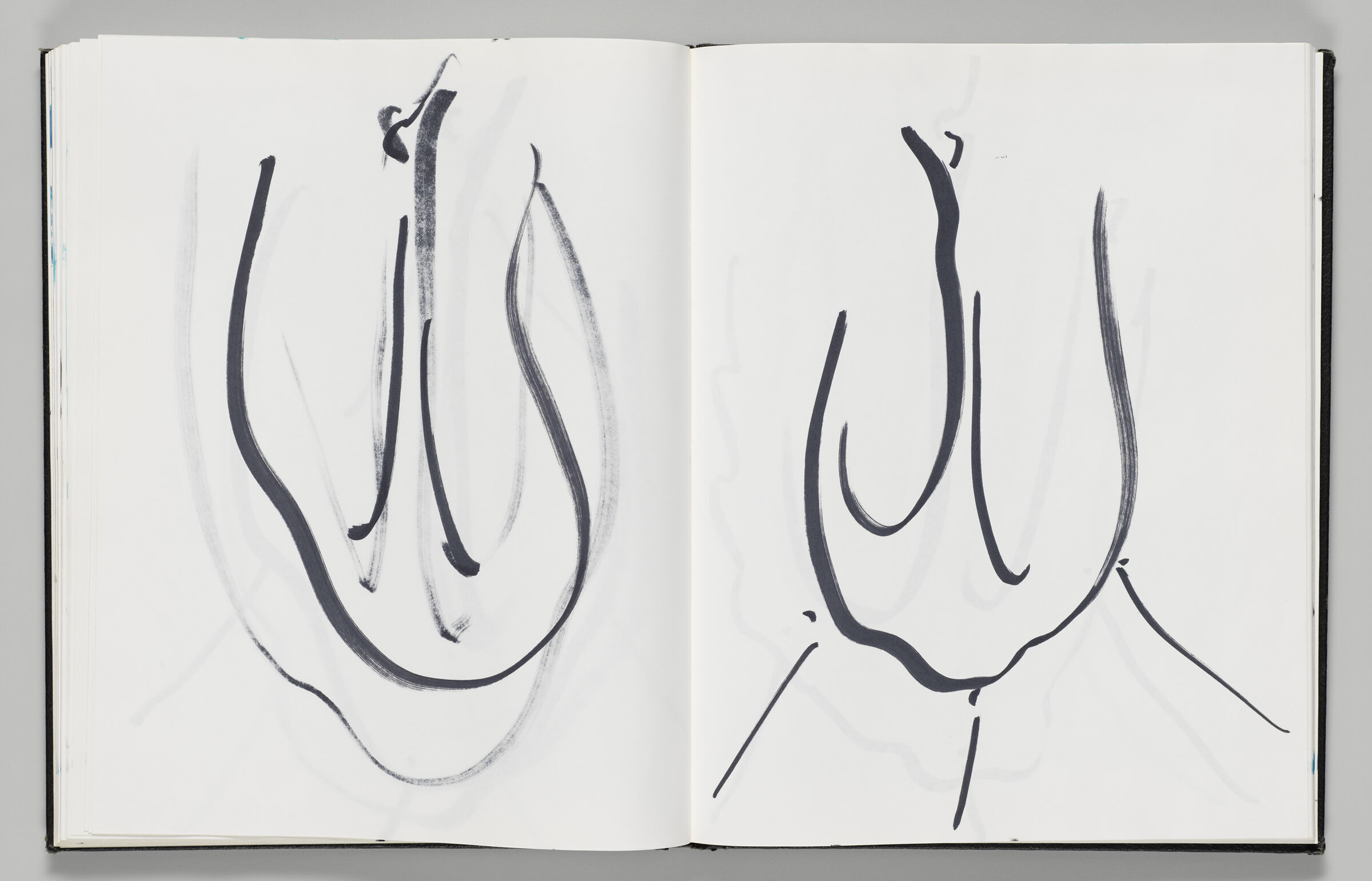 Untitled (Bleed-Through Of Previous Page And Swan, Left Page); Untitled (Swan, Right Page)