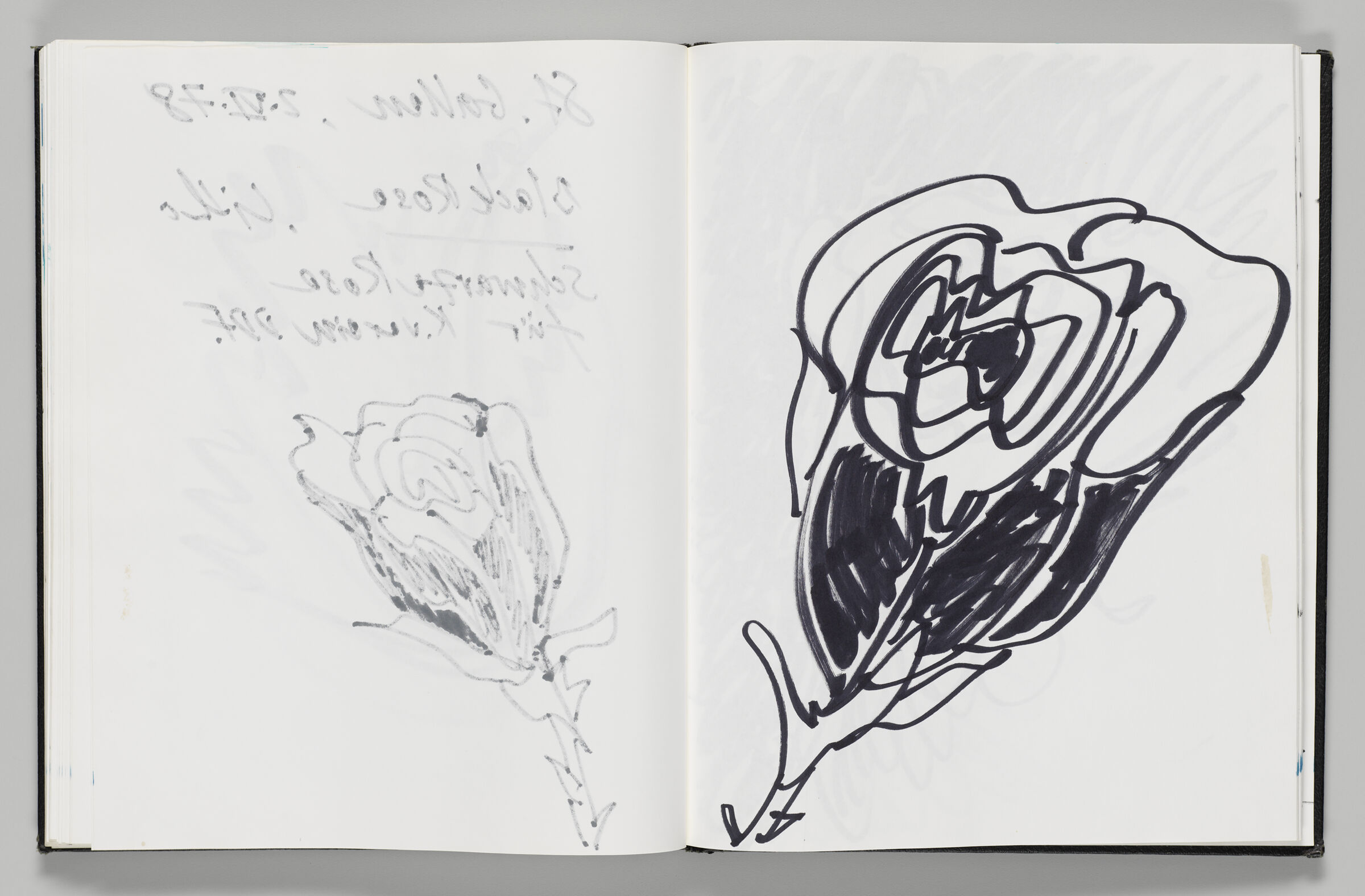Untitled (Bleed-Through Of Previous Page, Left Page); Untitled (Study For 